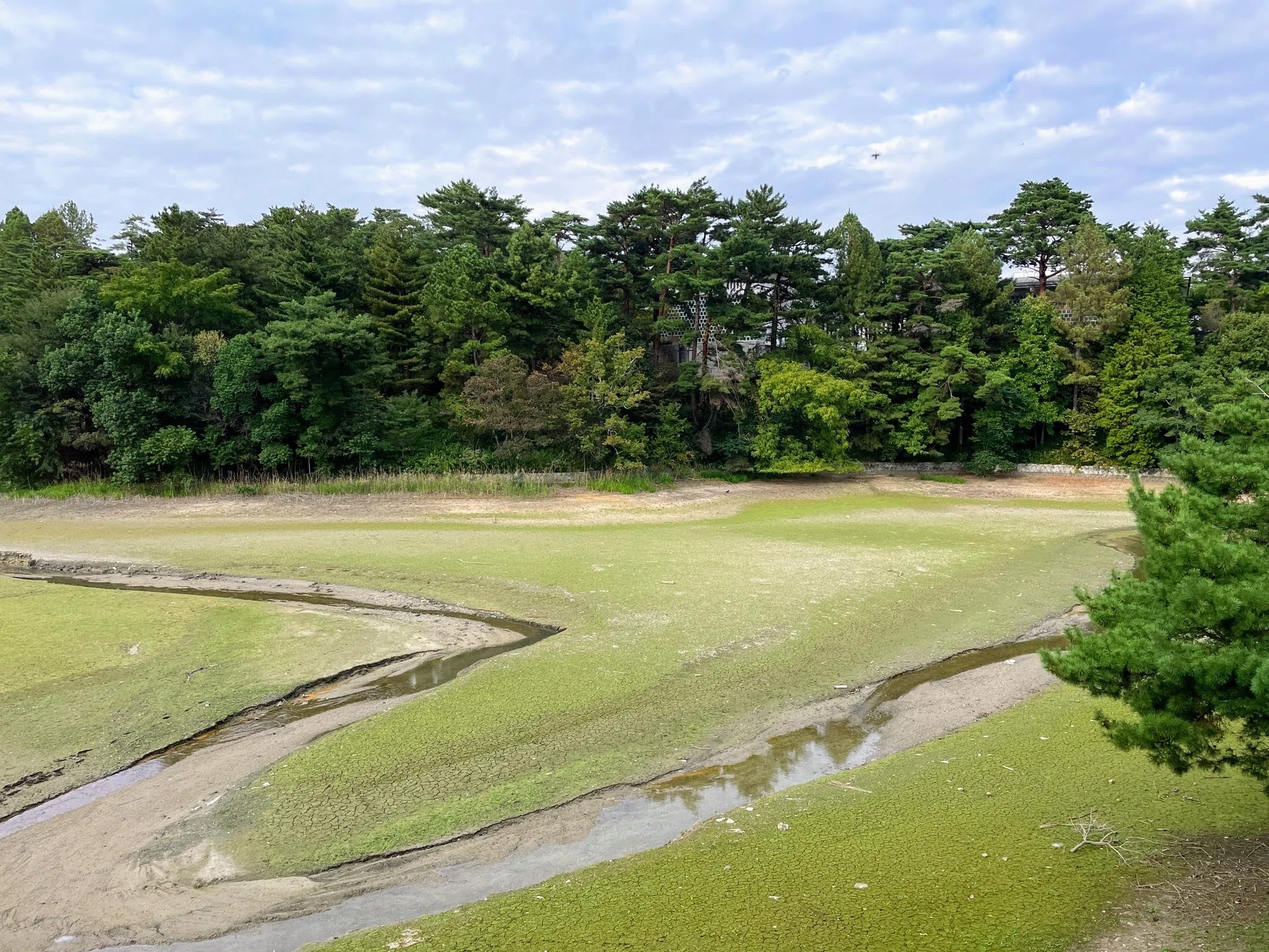 Exhibition Report] The Clear Eye / Nakano Museum of Art｜美術館と