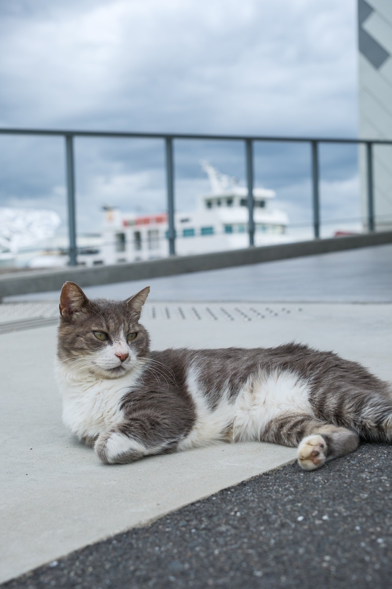 FUJIFILM フジノンレンズ XF33mmF1.4 R LM WR がツボにハマったお話