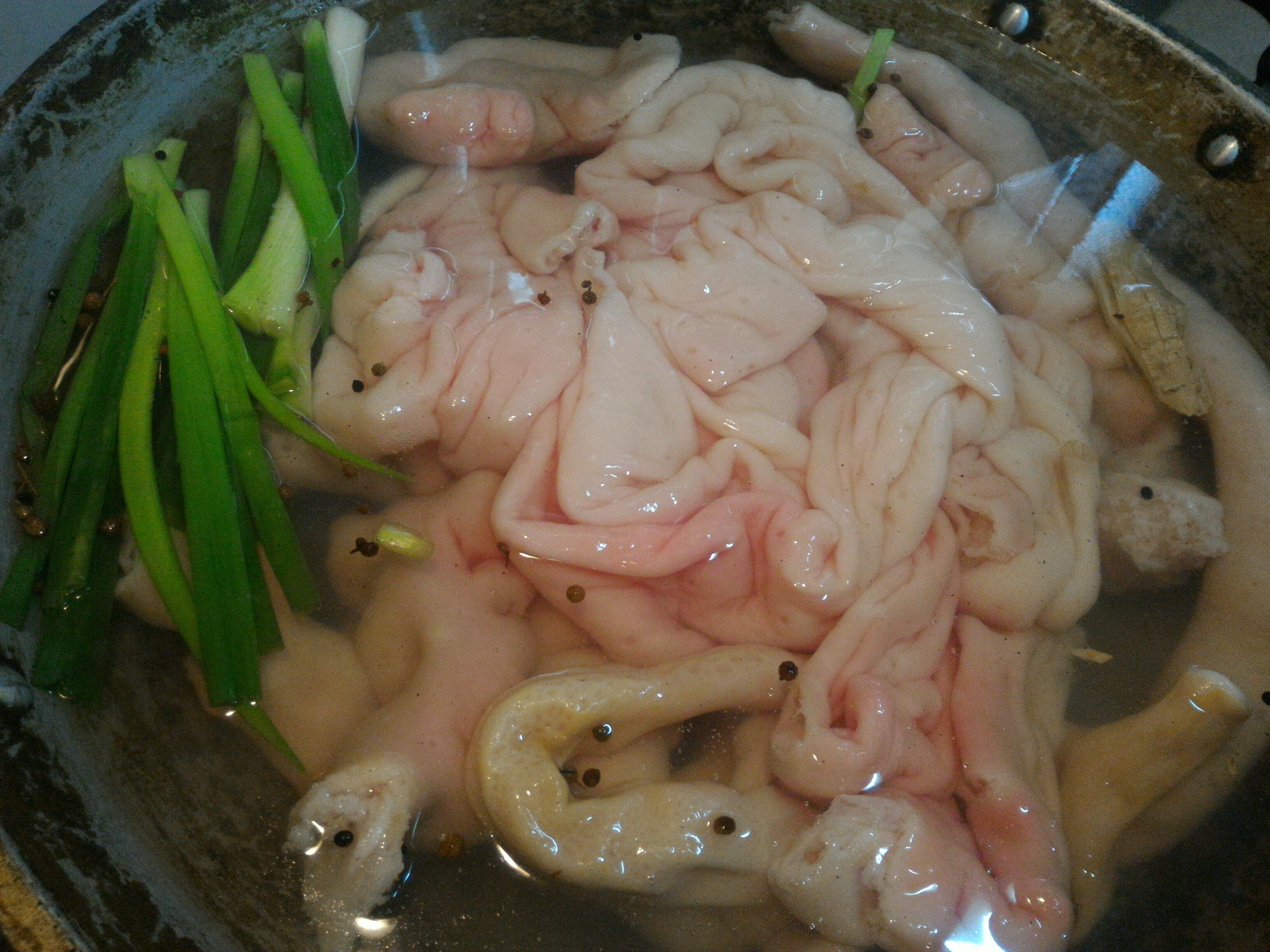 今週の注目ニュース（2025年10月第3週）｜田中美帆｜台湾ルポ