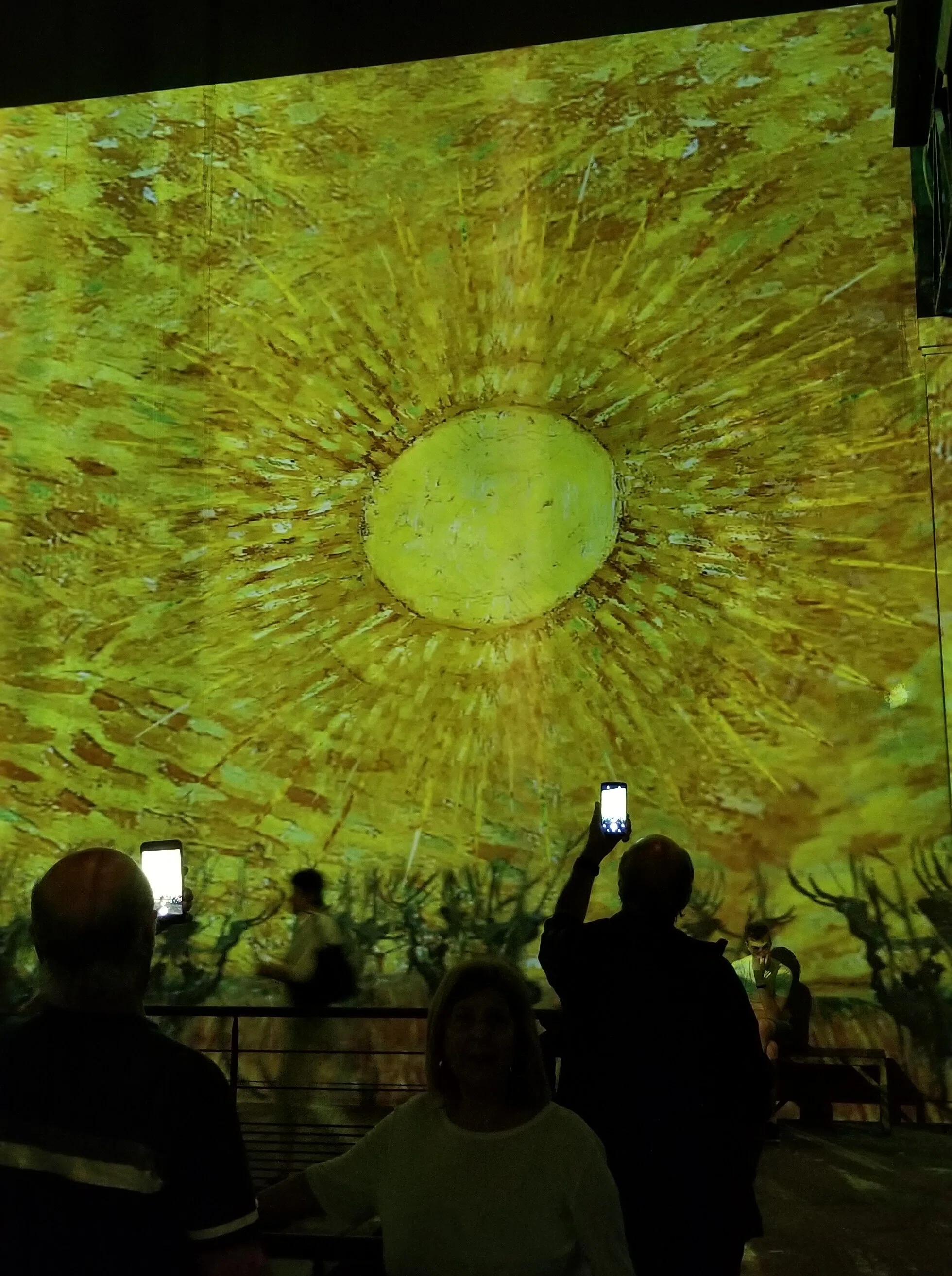 🇫🇷ファン・ゴッホ 星降る夜～Van Gogh, la nuit étoilée＜フランス