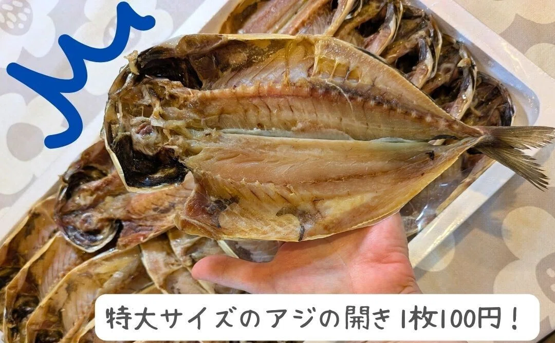 特大サイズのアジの開きが、1枚100円?!👀