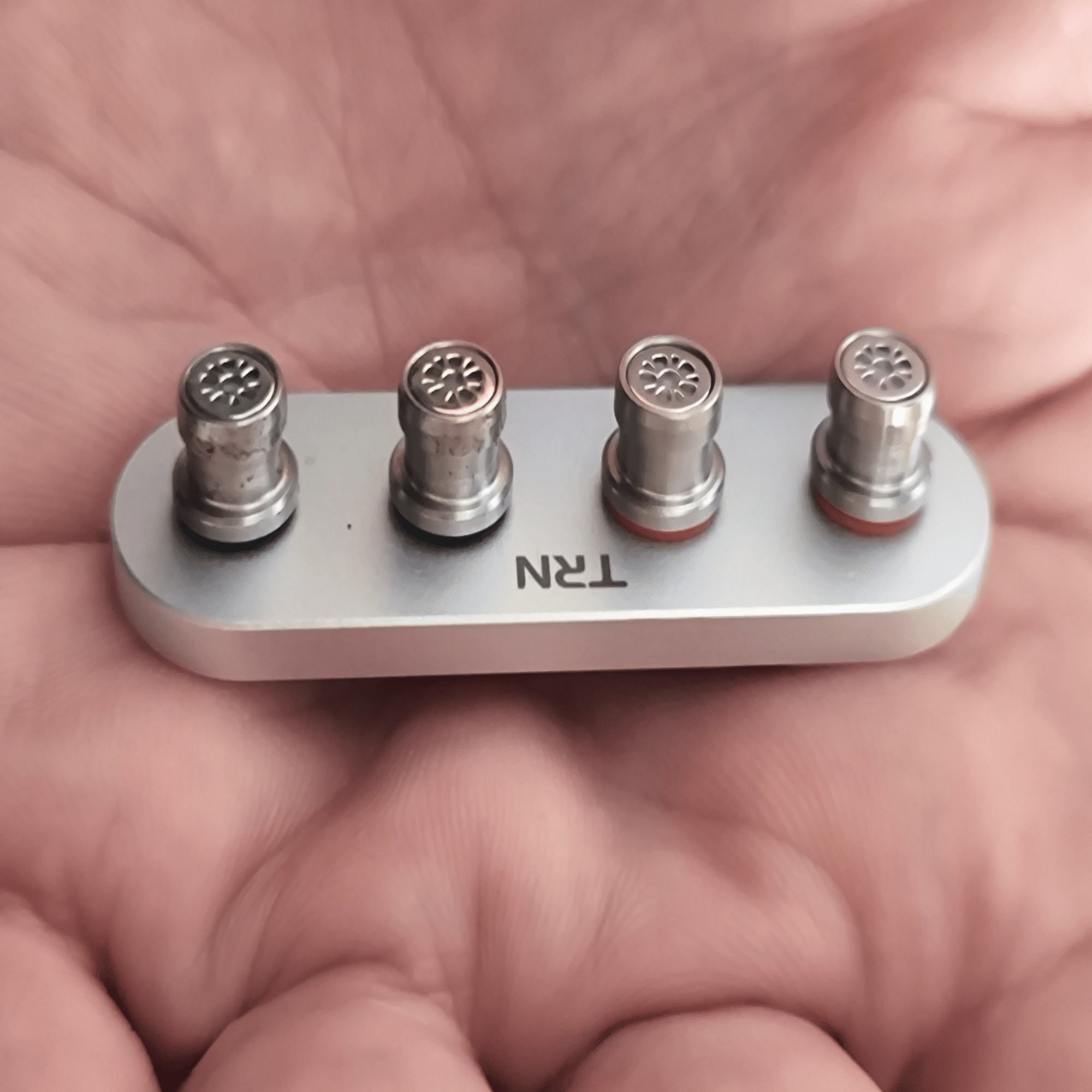 TRN Whale Shark 鲸鲨（ジンベエザメ）詳細レビュー：特異な複合