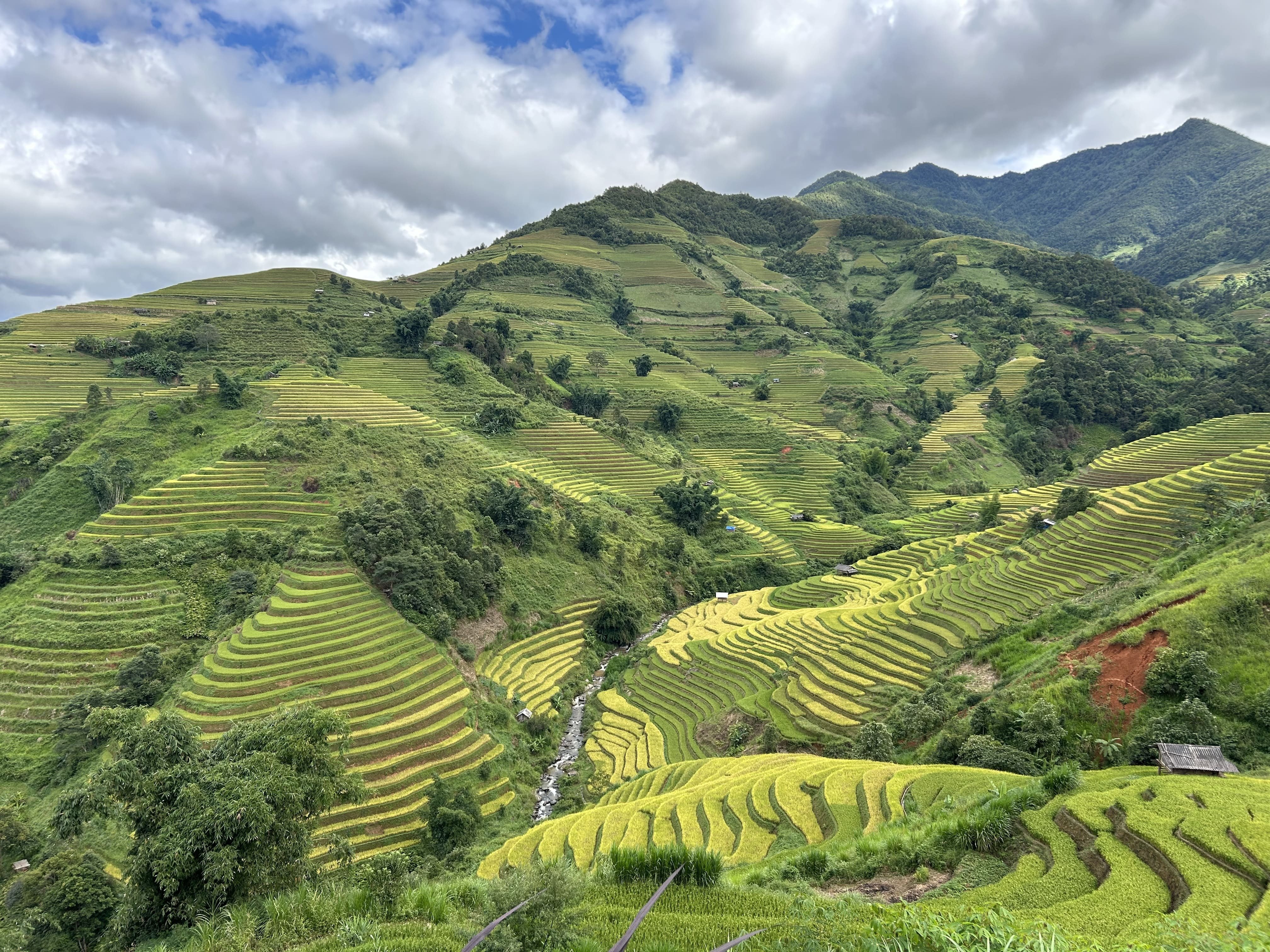 必見！ムーカンチャイ在住者が選ぶ絶景棚田スポット5選｜yuka