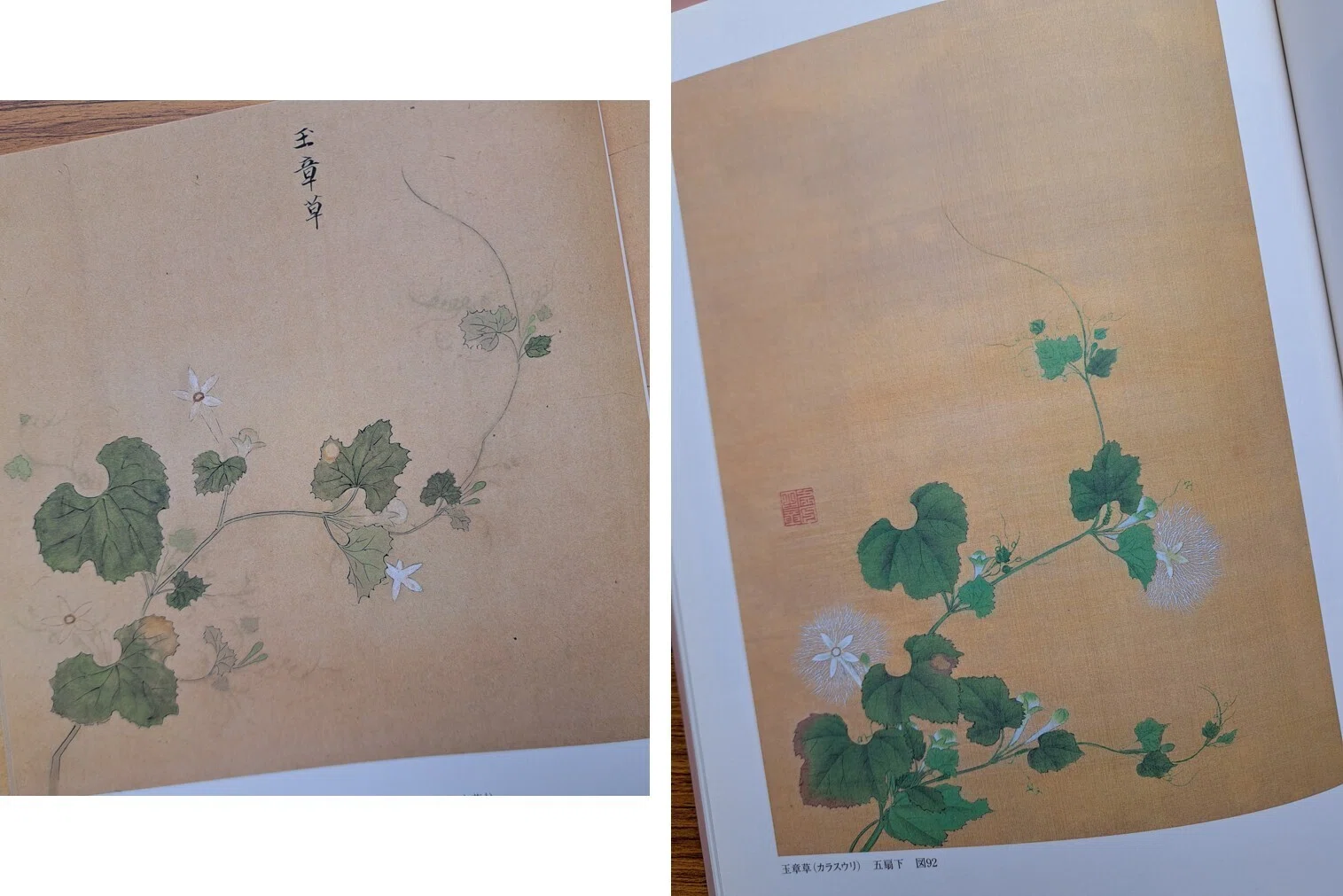 植物画とは何か＞（4）ー2：「花木真寫」と《花木真寫貼交屏風》の