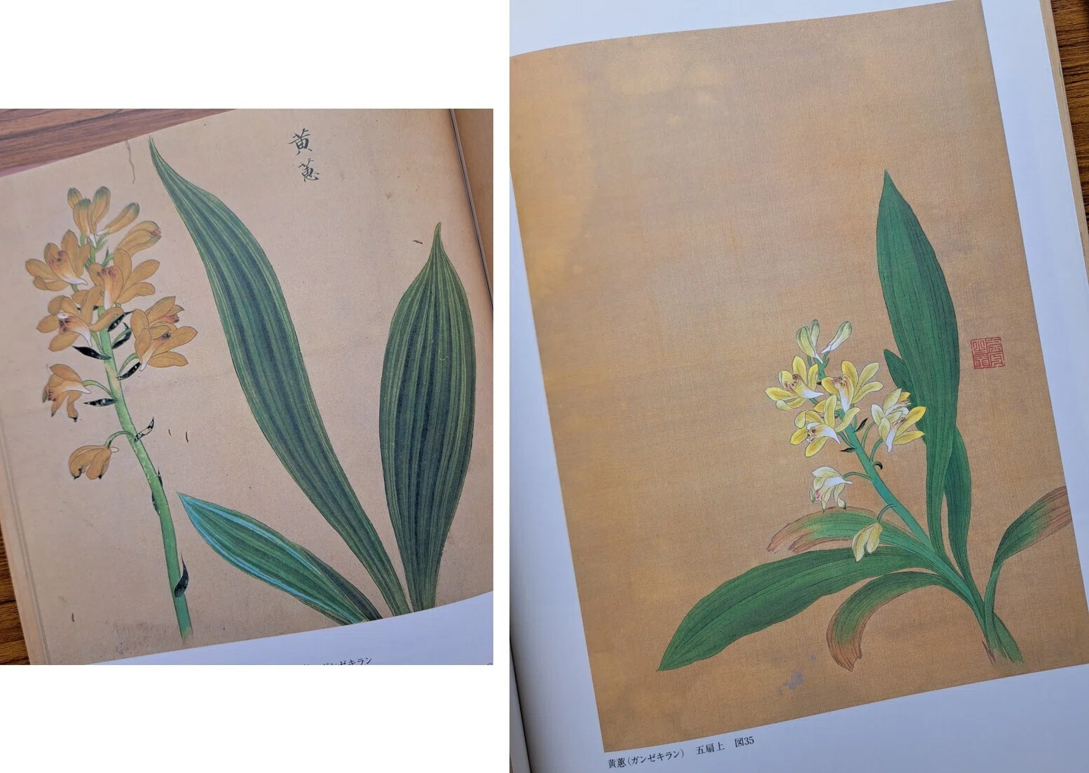 植物画とは何か＞（4）ー2：「花木真寫」と《花木真寫貼交屏風》の