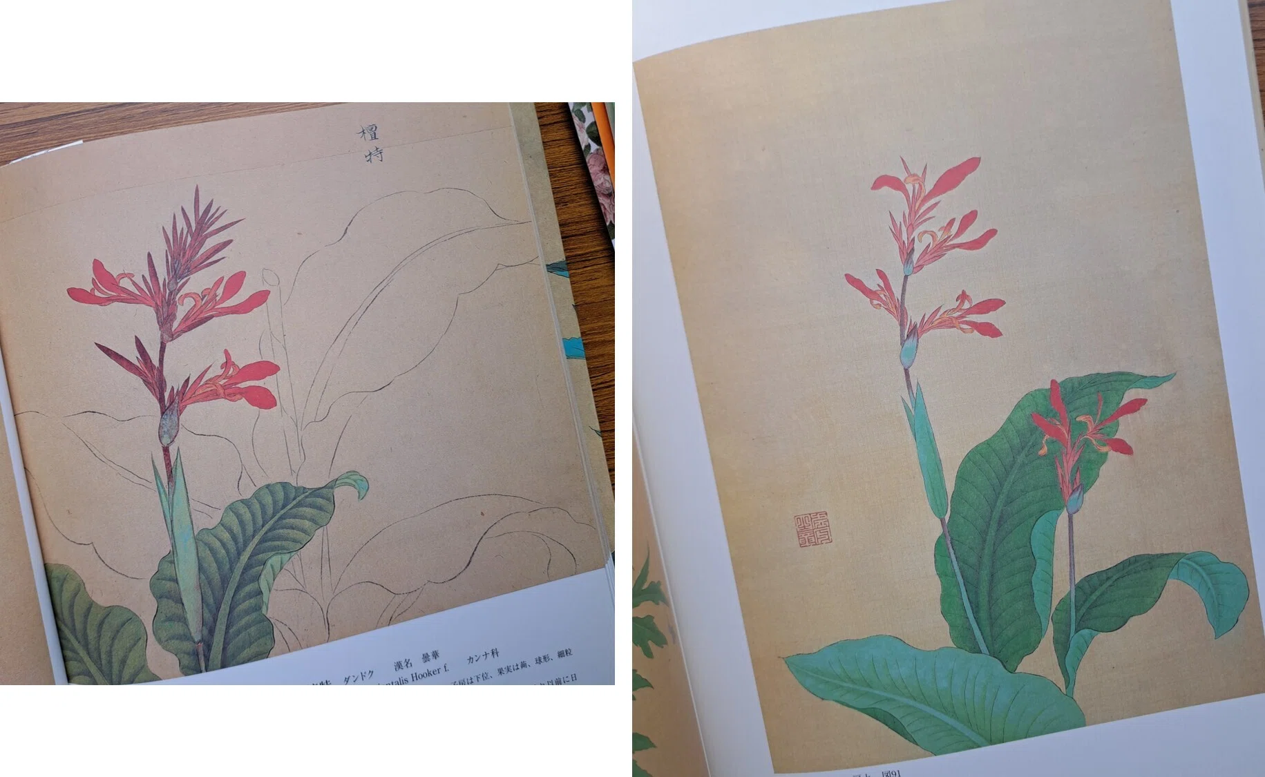 植物画とは何か＞（4）ー2：「花木真寫」と《花木真寫貼交屏風》の