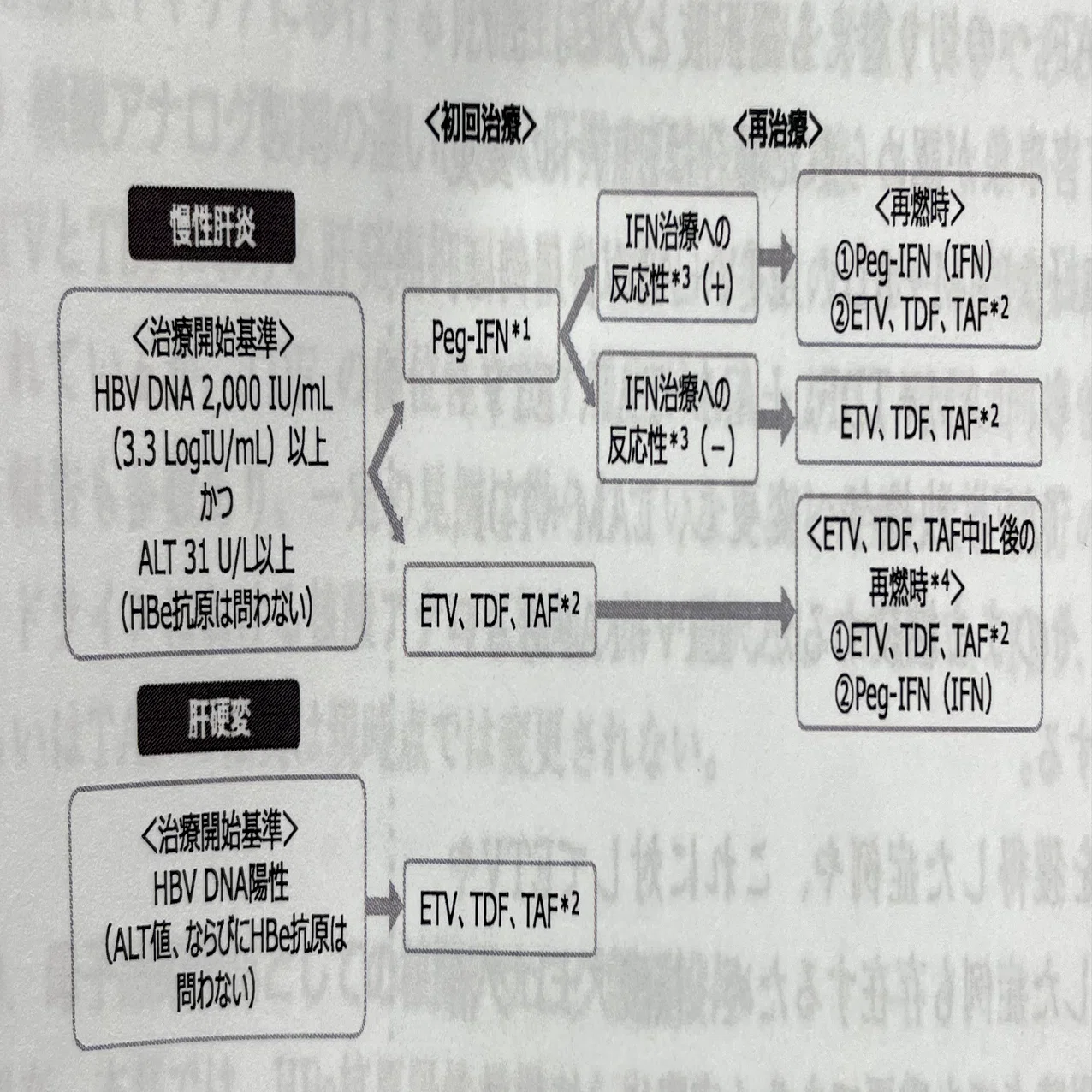 肝臓専門医試験対策 ＊Part2 ＊｜かまみむかもめ