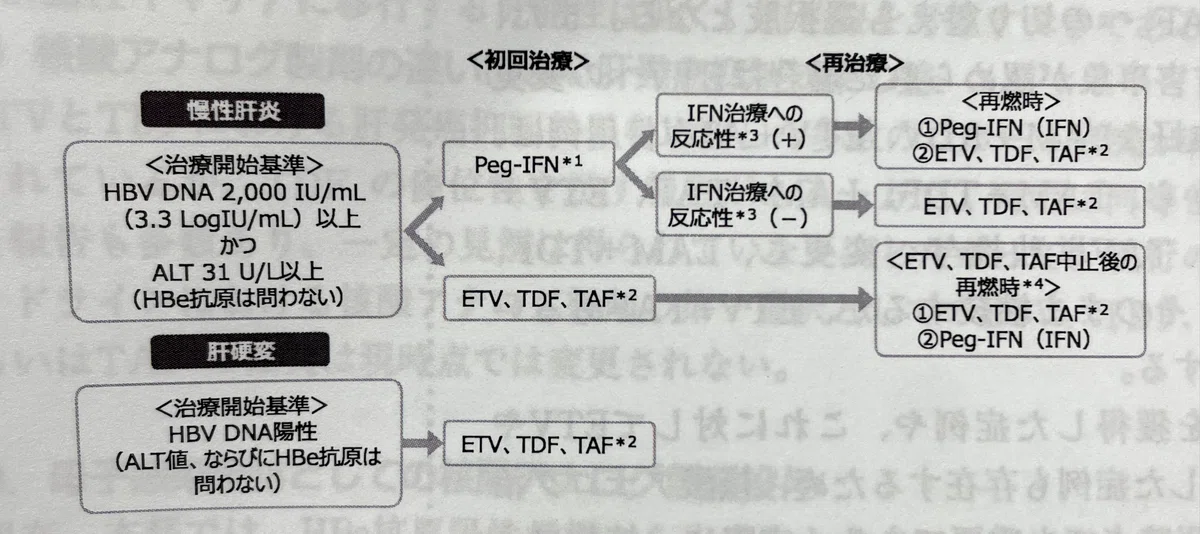 肝臓 専門医試験対策 肝臓専門医試験2025対策 ++Part4++｜かまみむかもめ