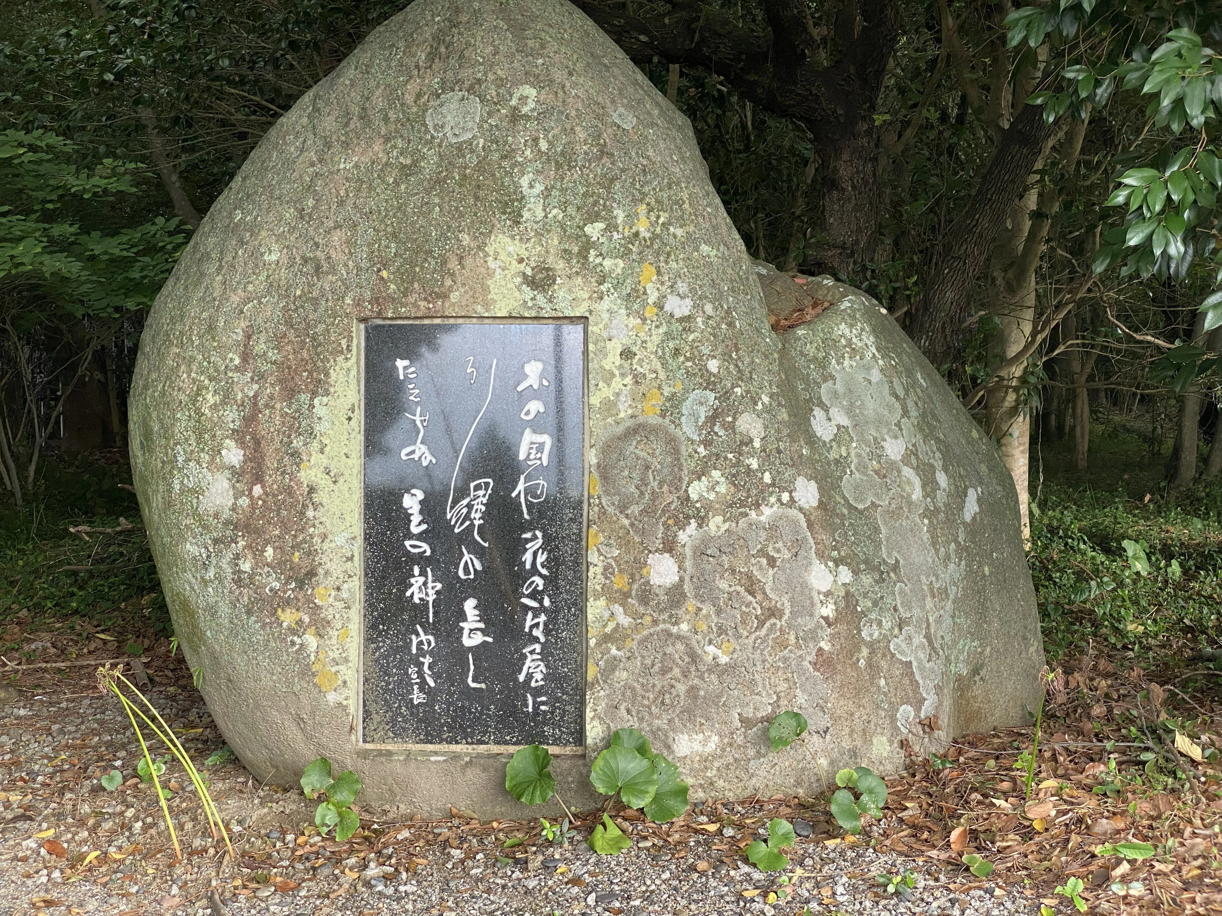 三重県の旅④）「熊野 花の窟 獅子岩 鬼ヶ城」｜高坂正澄