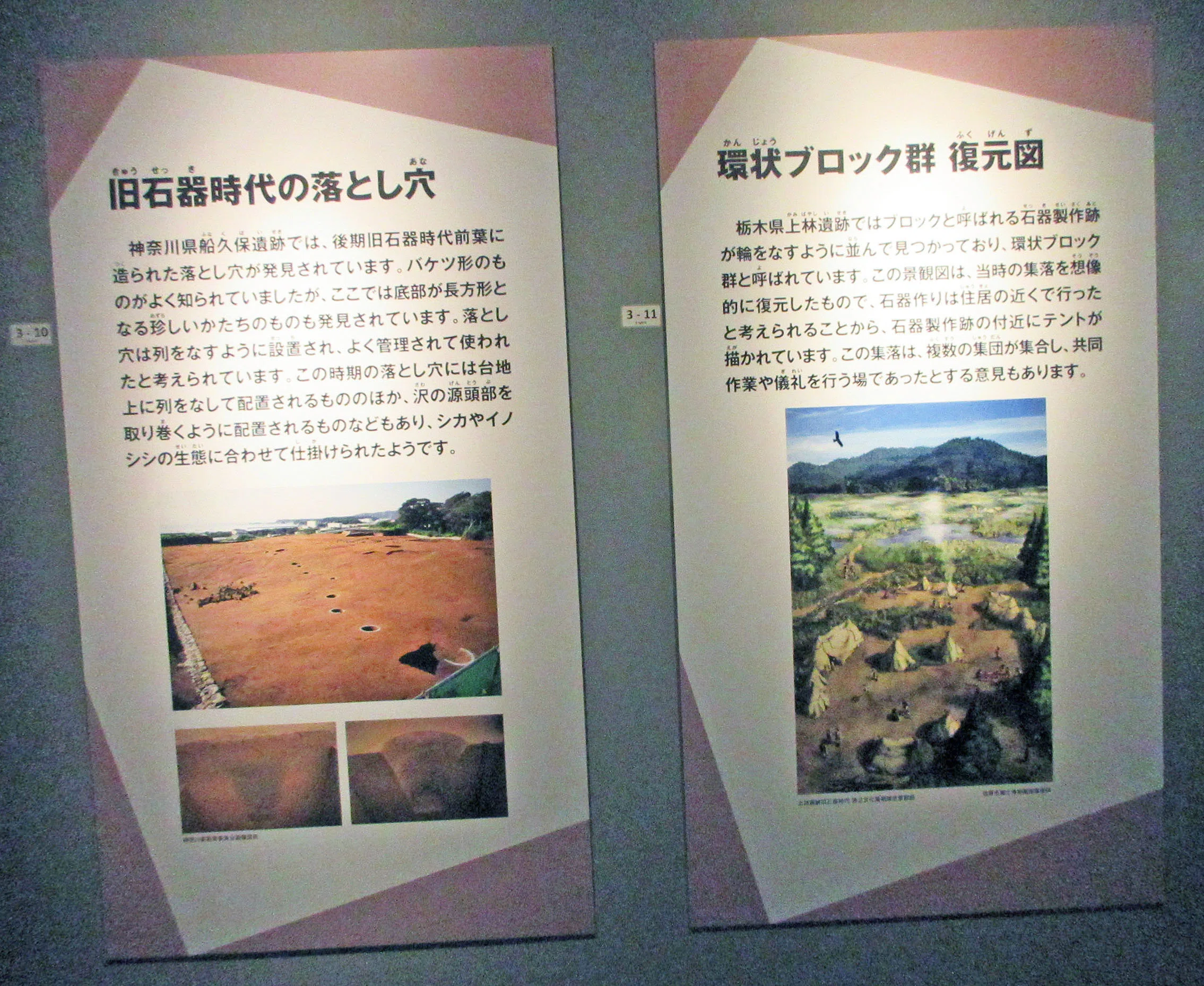 第3章 氷河期の日本列島―古本州島：特別展「氷河期展 〜人類が見た4万