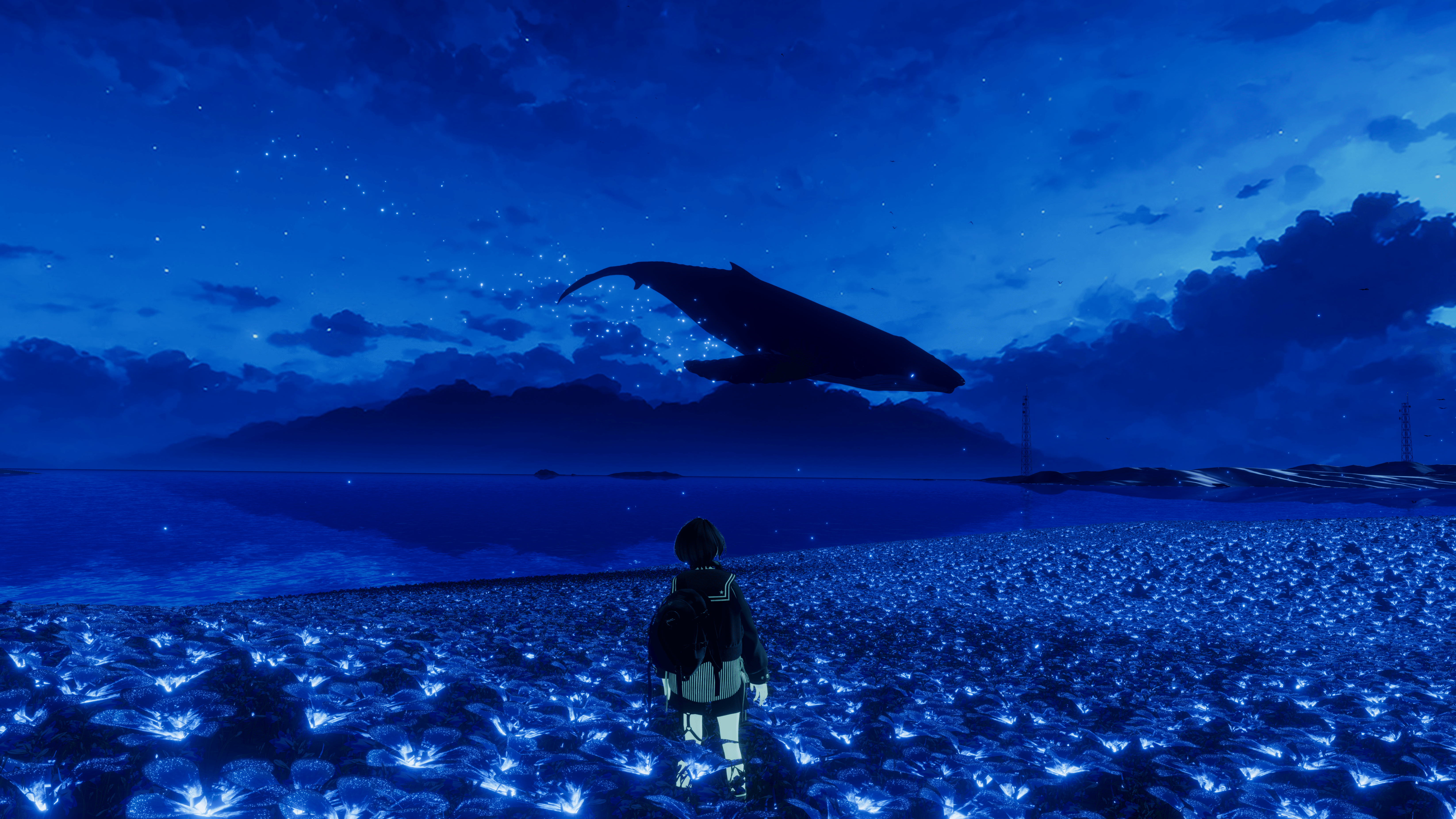 シムシメール 宇宙への祈り 2025年最新】Yahoo!オークション -シムシメール(版画)の中古品