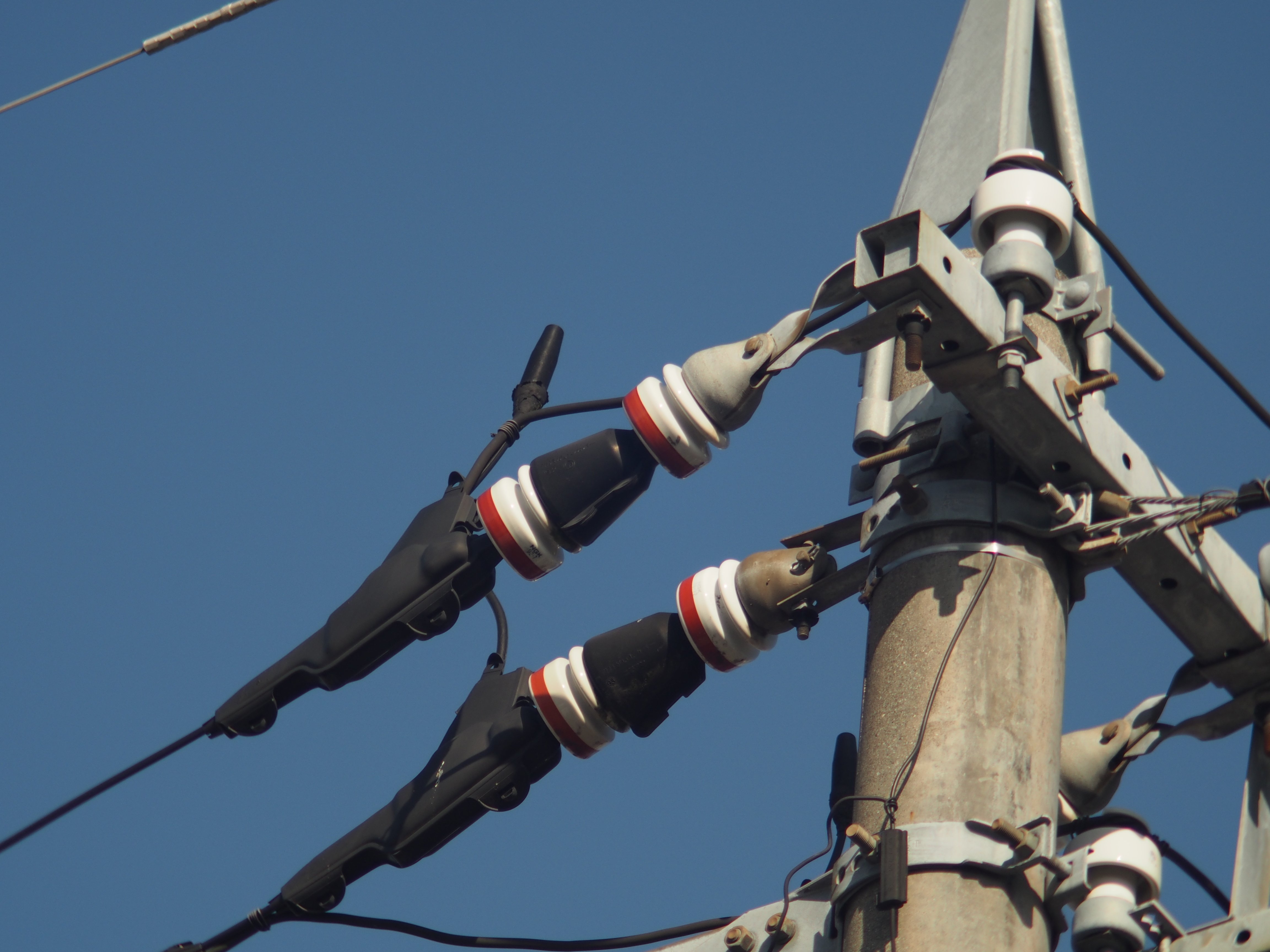 AUTO TELEPLUS 2X｜cherubino