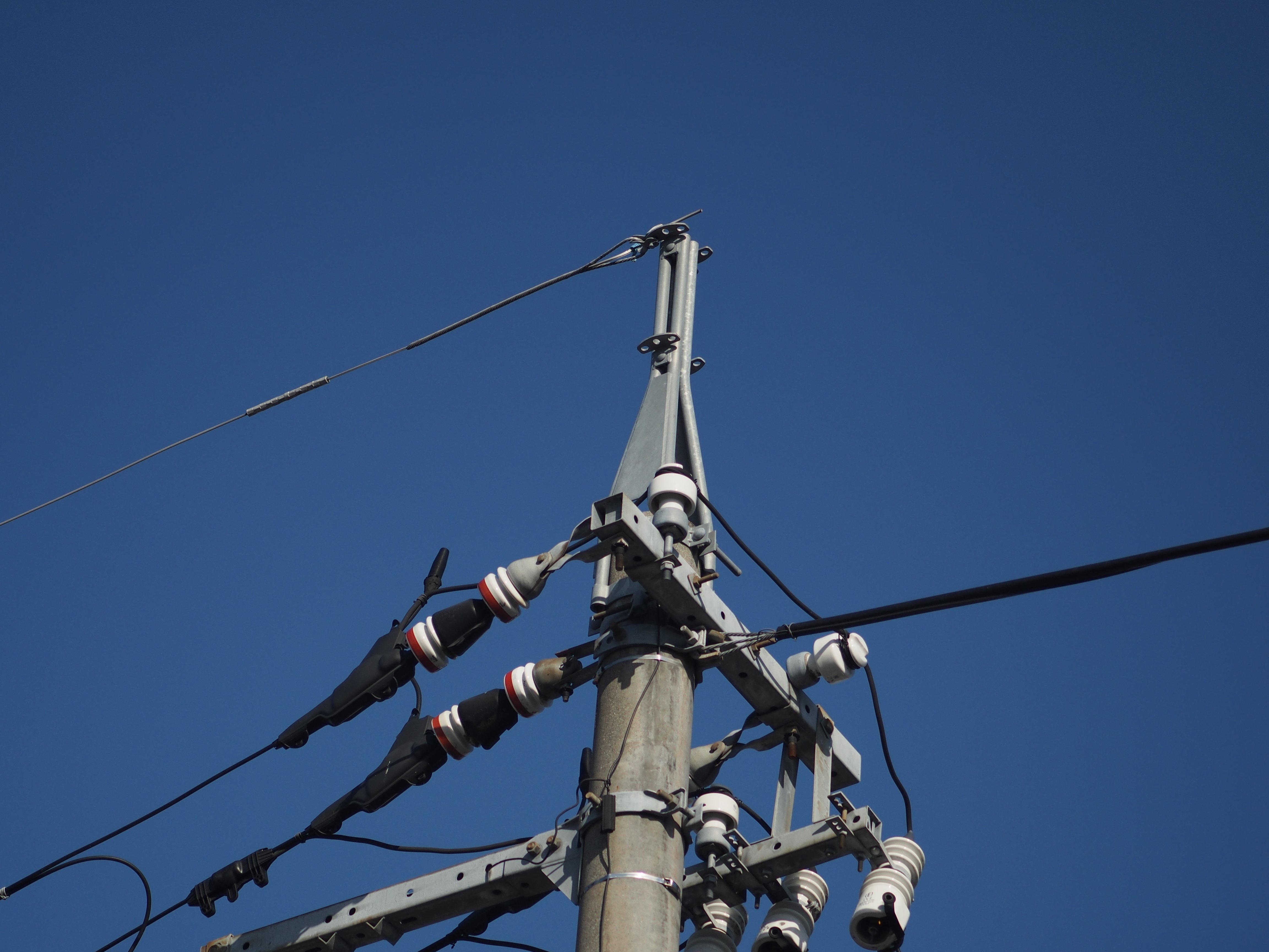 AUTO TELEPLUS 2X｜cherubino