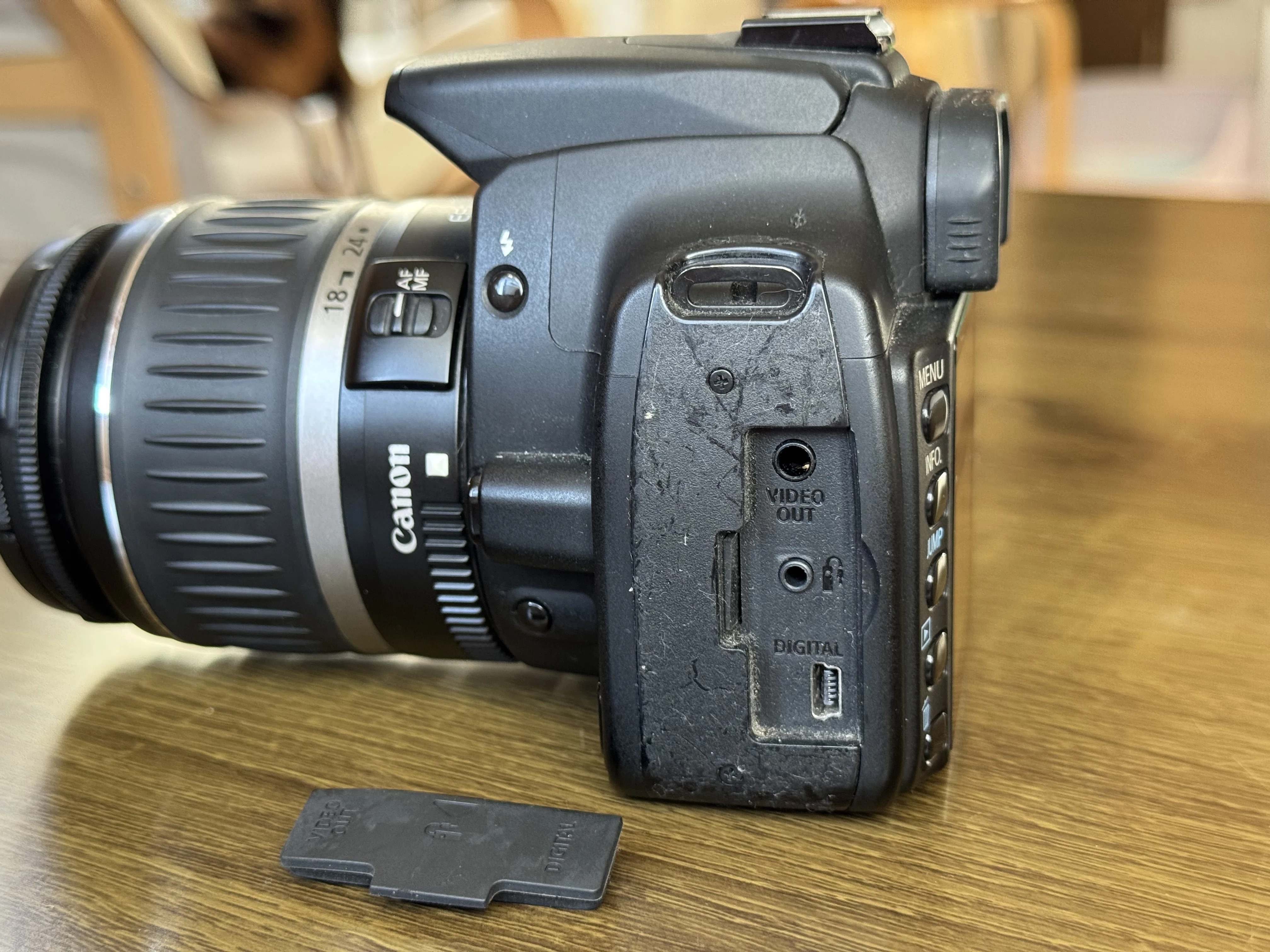 Canon EOS Kiss Digital N｜かわこ