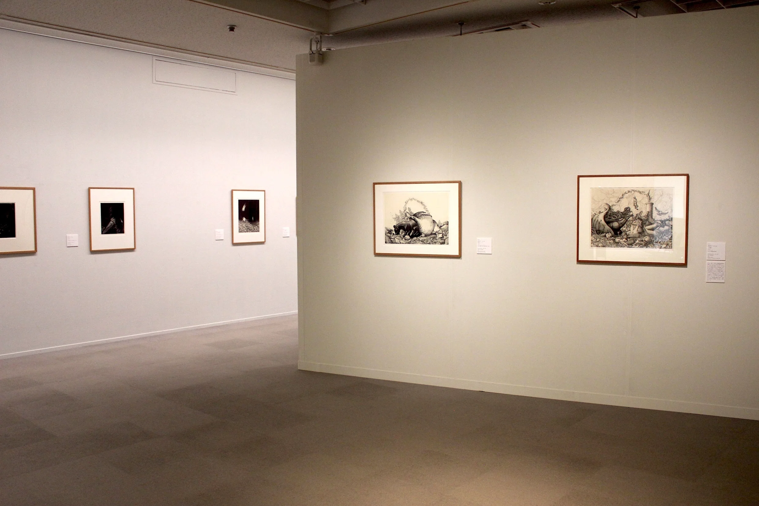 銅版画家清原啓子作品の細密描画の秘密にせまる、動画の編集完全版です