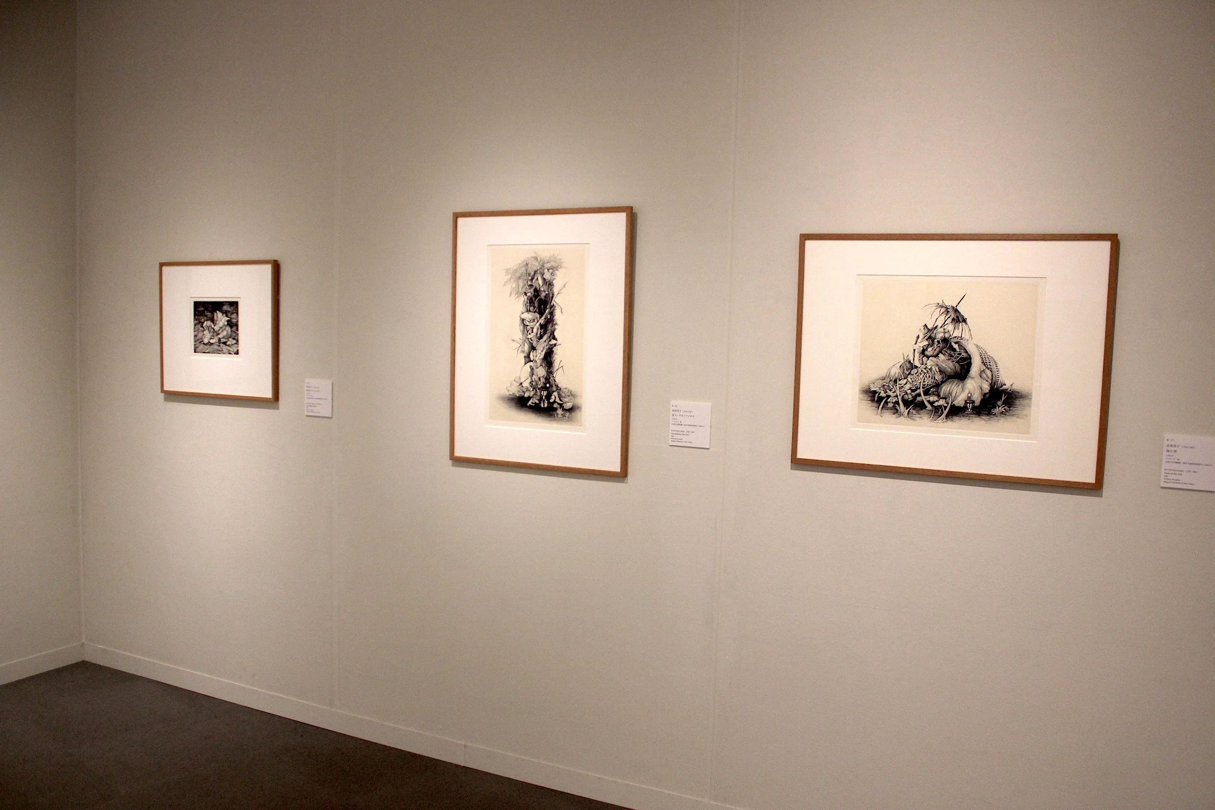 銅版画家清原啓子作品の細密描画の秘密にせまる、動画の編集完全版です