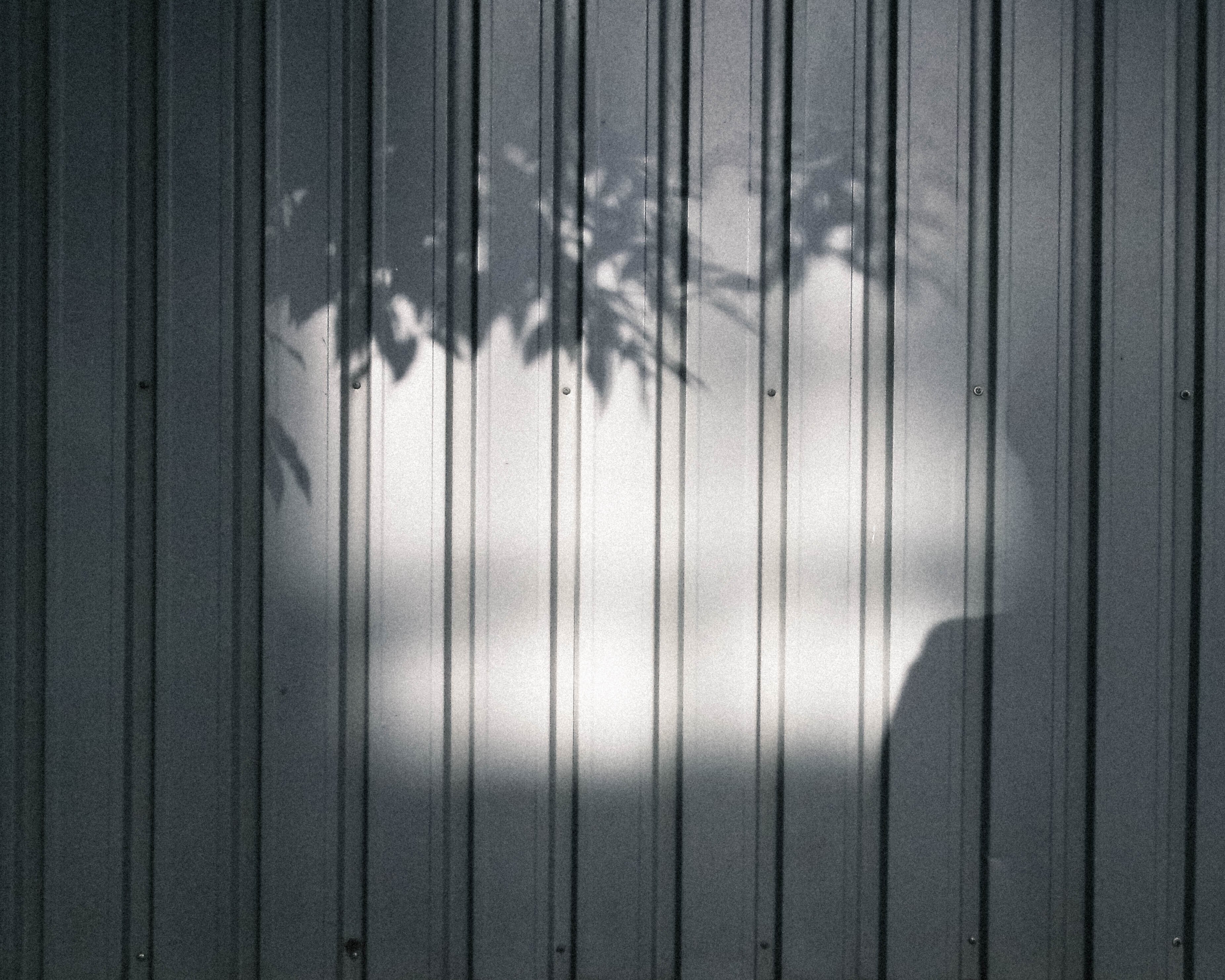 FZ55だけで撮るnote Vol.11｜週刊｜写真にすくわれるNagi