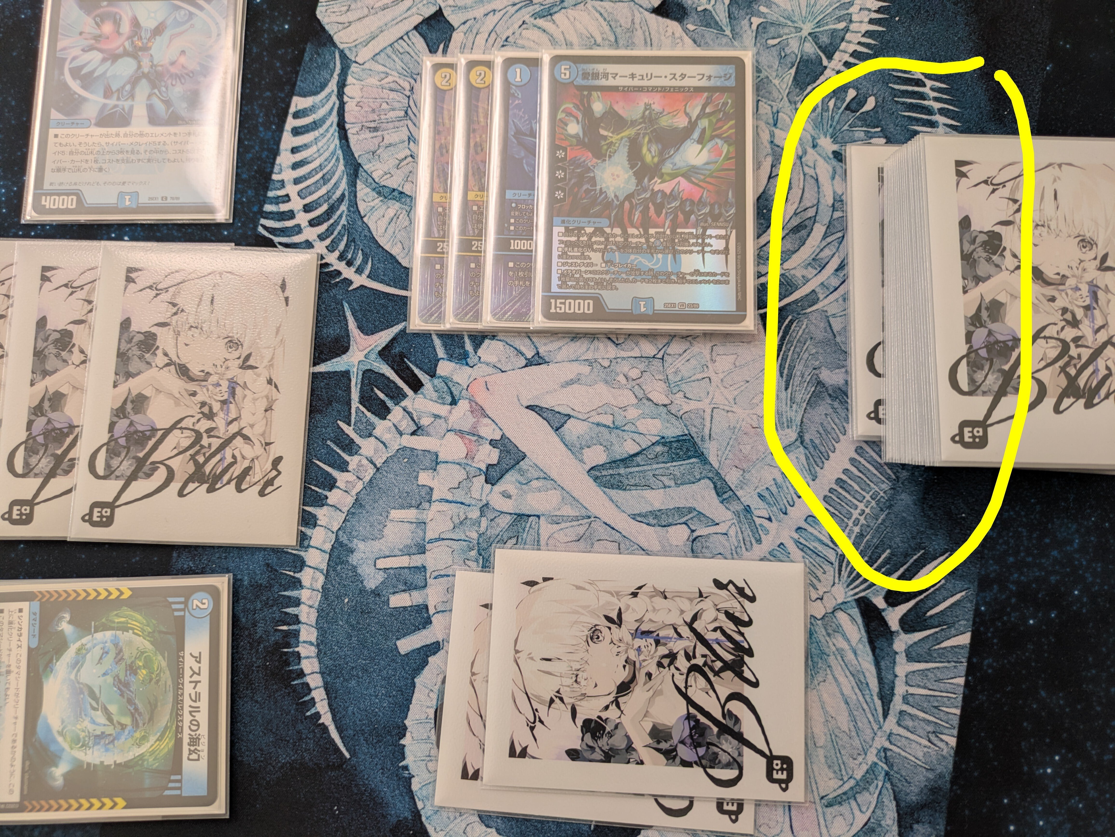 知識ゼロからサイバーを使い始める｜ずかちょん