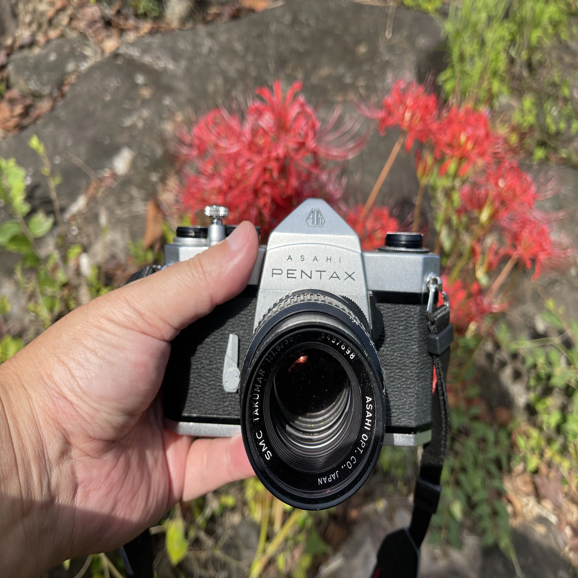 PENTAX MZ-3レビュー｜怪力熊男