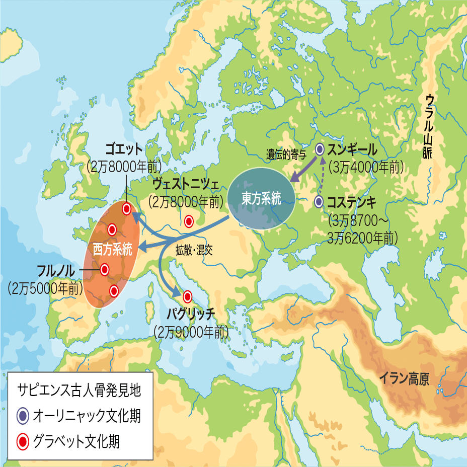 世界史探究】 サピエンス全世界拡散② 〜ヨーロッパ集団の興亡
