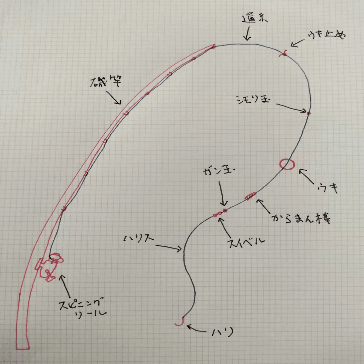 フカセ釣り半誘導仕掛け完全ガイド｜初心者でも釣果10倍にしてやる