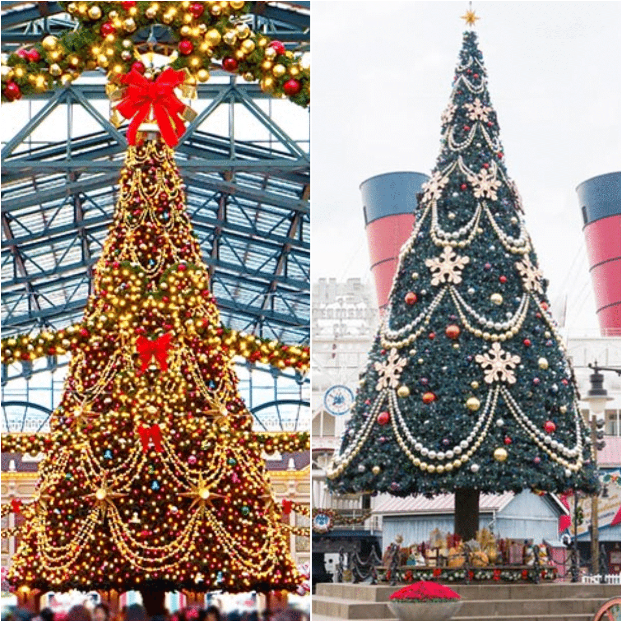 ファンとアンチの狭間で ～ VOL.30 塔の上のラプンツェル⑤｜·*LUNA*·