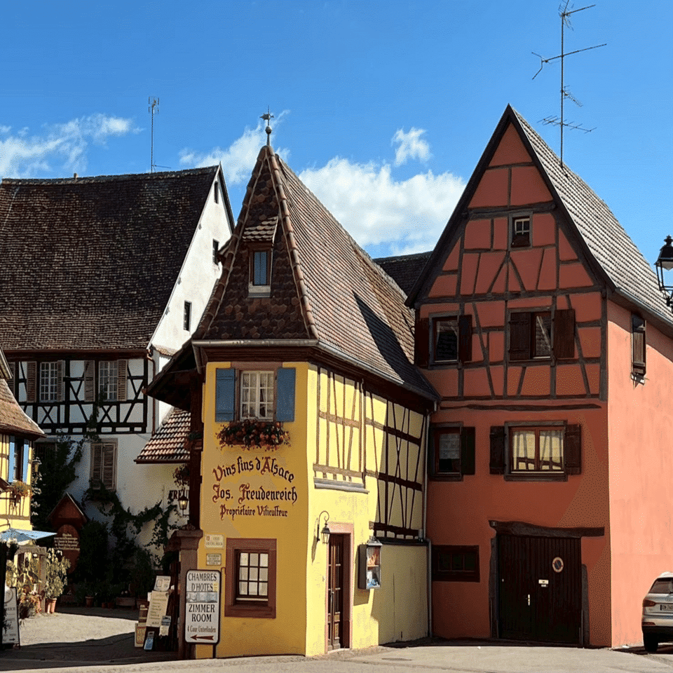 幸せを運ぶ鳥が暮らす フランスで最も美しい村エギスハイム｜母と娘の