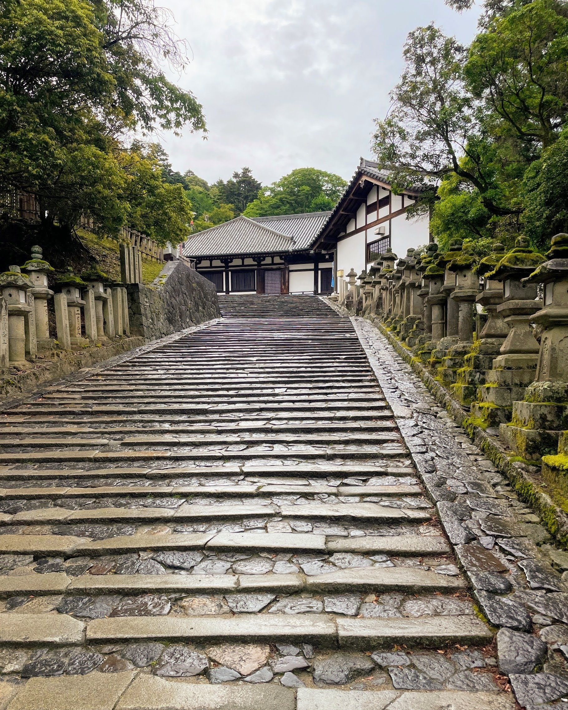 展覧会レポート】 観音院に集った人々 ／東大寺観音院｜美術館とお寺と猫