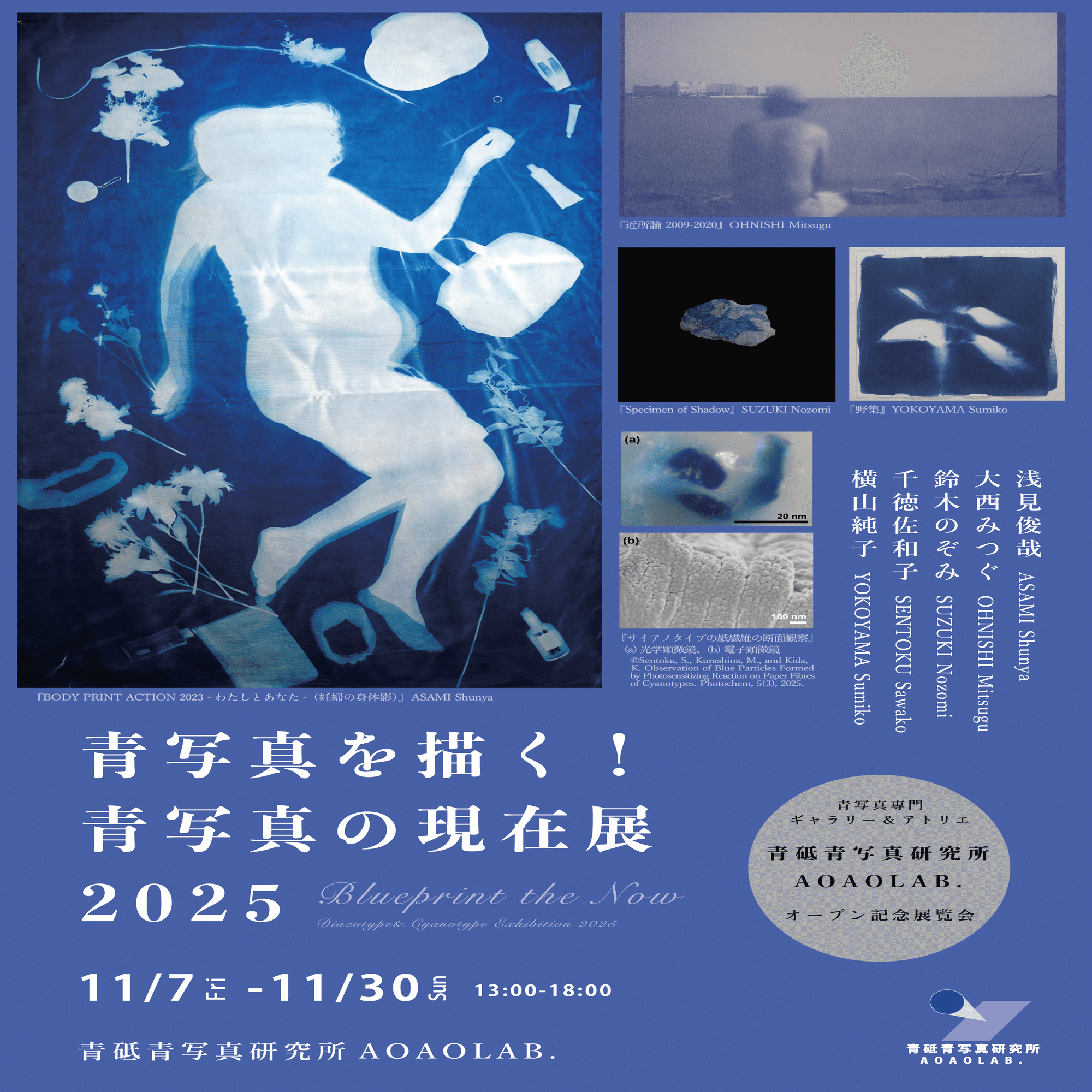 あお さん専用ページ 展覧会 2025】青砥青写真研究所オープン記念企画「青写真を描く！青