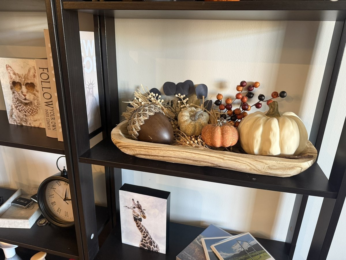 1760736372-Mi04gzvSJ6cuYEPh8pW3LfyG.jpg?width=1200