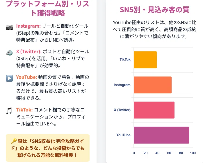 2つまで選択可　SNSマーケティング 完全攻略ロードマップ 完全保存版 SNSマーケ完全攻略：0から100万円を最短で稼ぐための完全ロードマップ