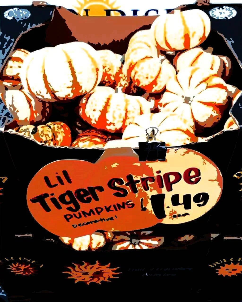 Trader Joe's(トレーダー・ジョーズ)で撮ったハロウィンの写真の中では一番人気だったTiger Stripe Pumpkinの写真