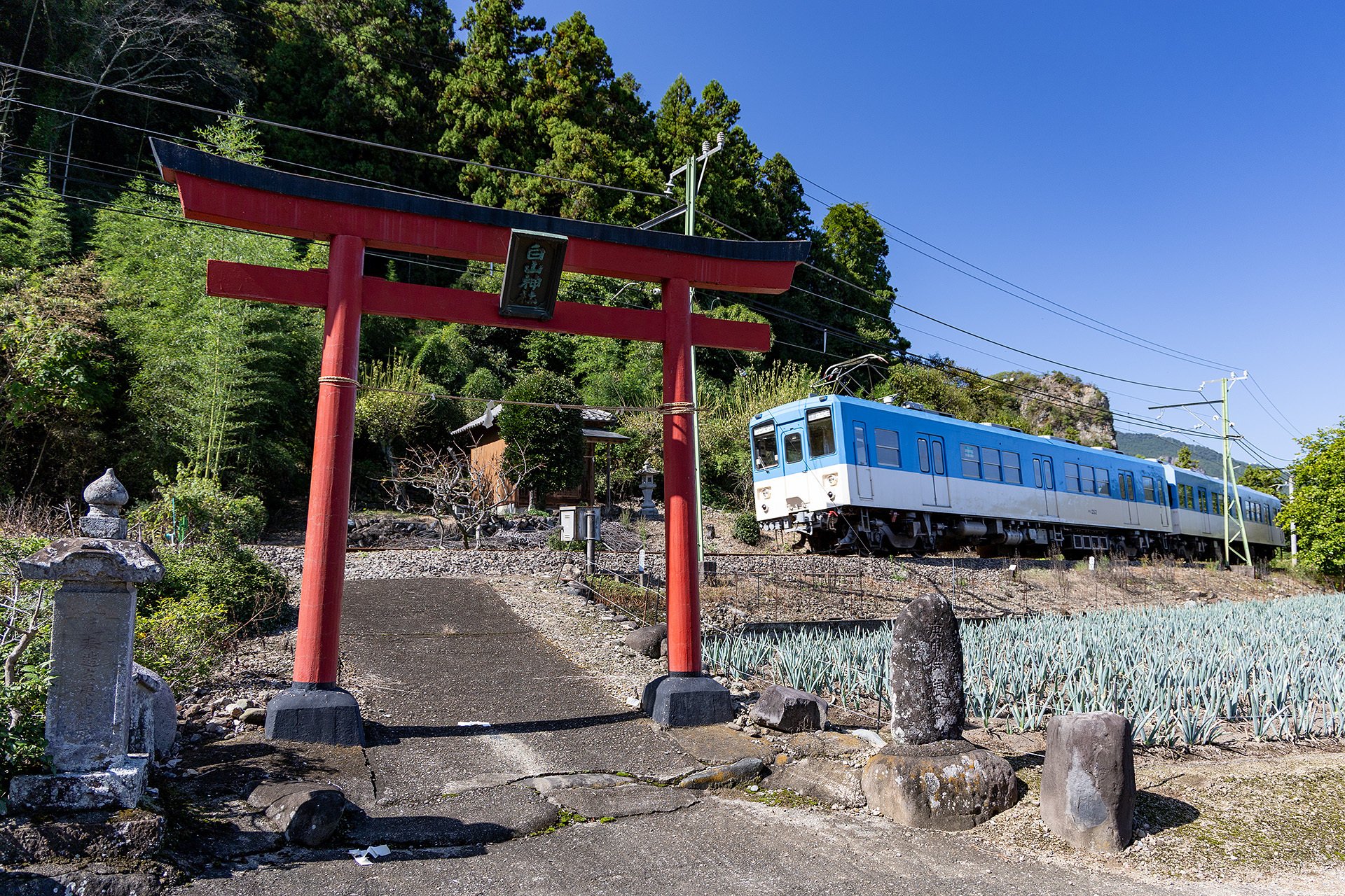 v113, 上信電鉄：よく歩いた1日 （2025年）｜ひろやん