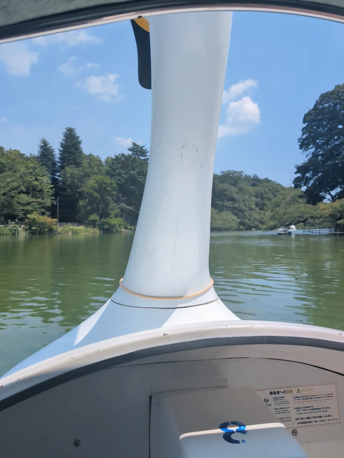 スワンボート内からの写真。スワンの頭部の後ろ姿と池の景色が見える