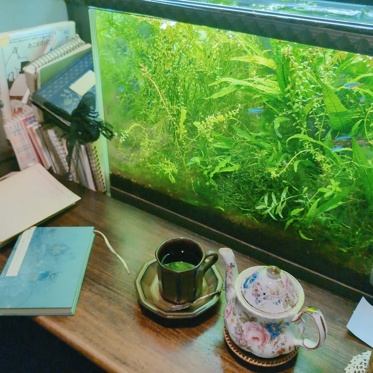 カフェのテーブル。水草と小魚が泳ぐアクアリウムが置かれている