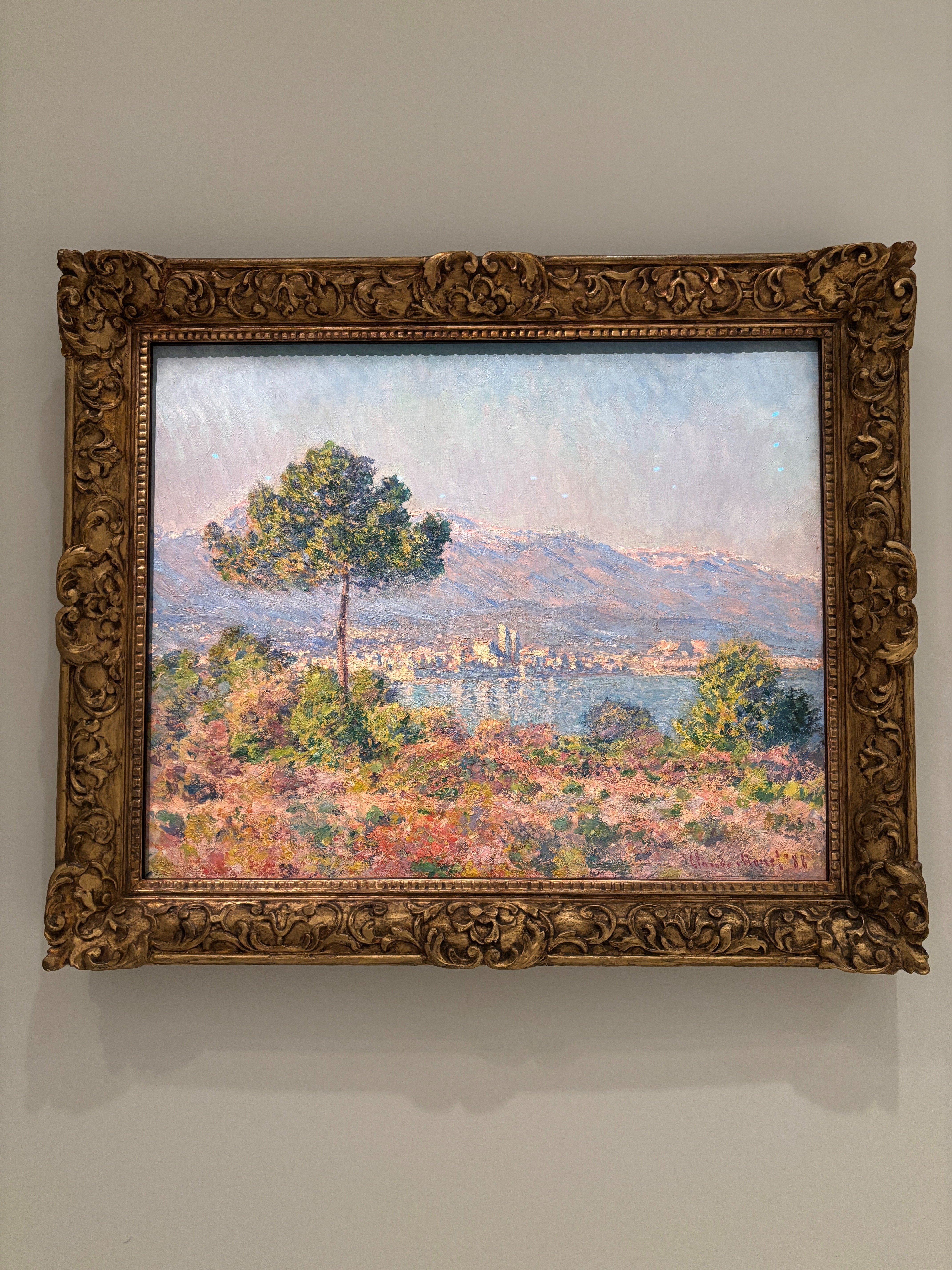 幸せ、アート三昧 in オーストラリア｜HACHI