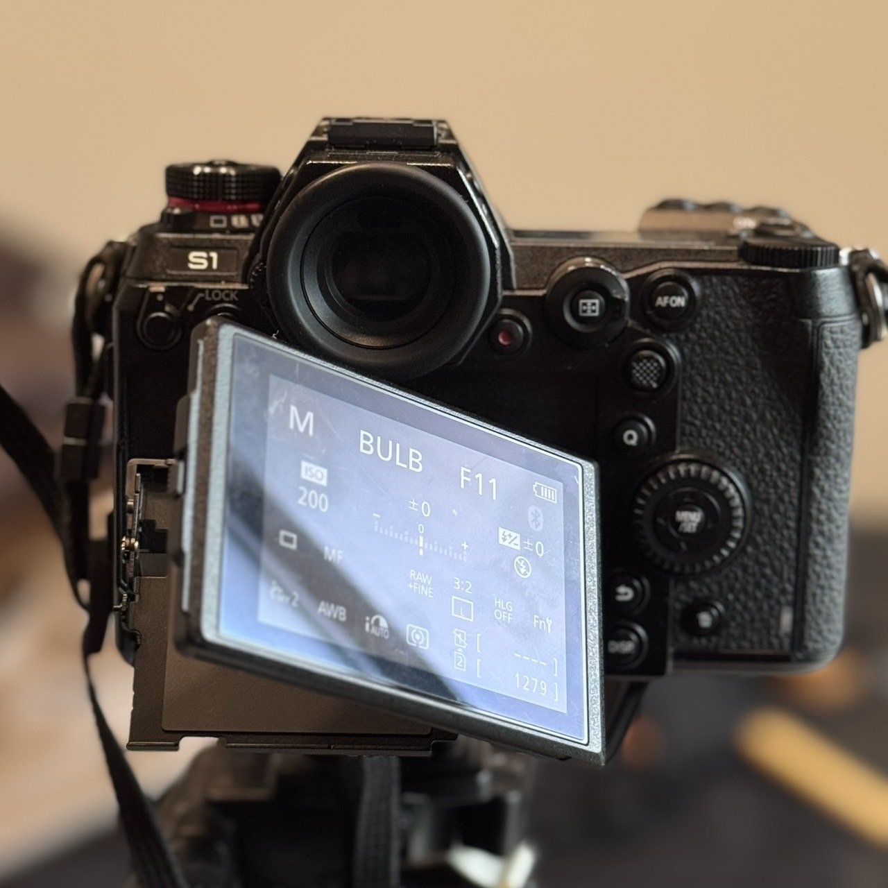 LUMIX S1 バッテリー2本つき シャッター数2320 LUMIX S1 バッテリー2本つき シャッター数2320 LUMIX S1