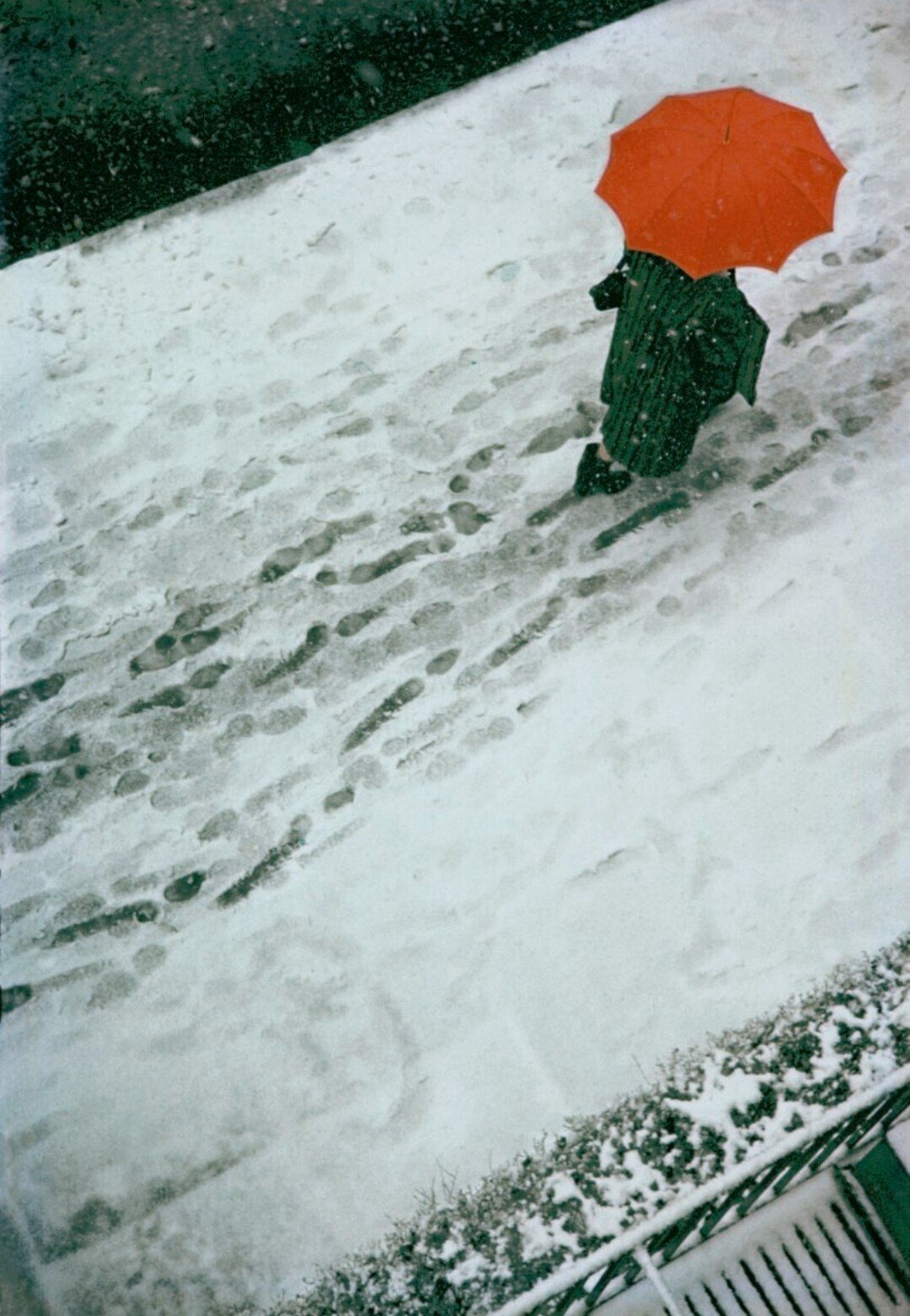 雑踏と閑 《Animé et Calme》 35ème 写真家ソール・ライター : カメラ