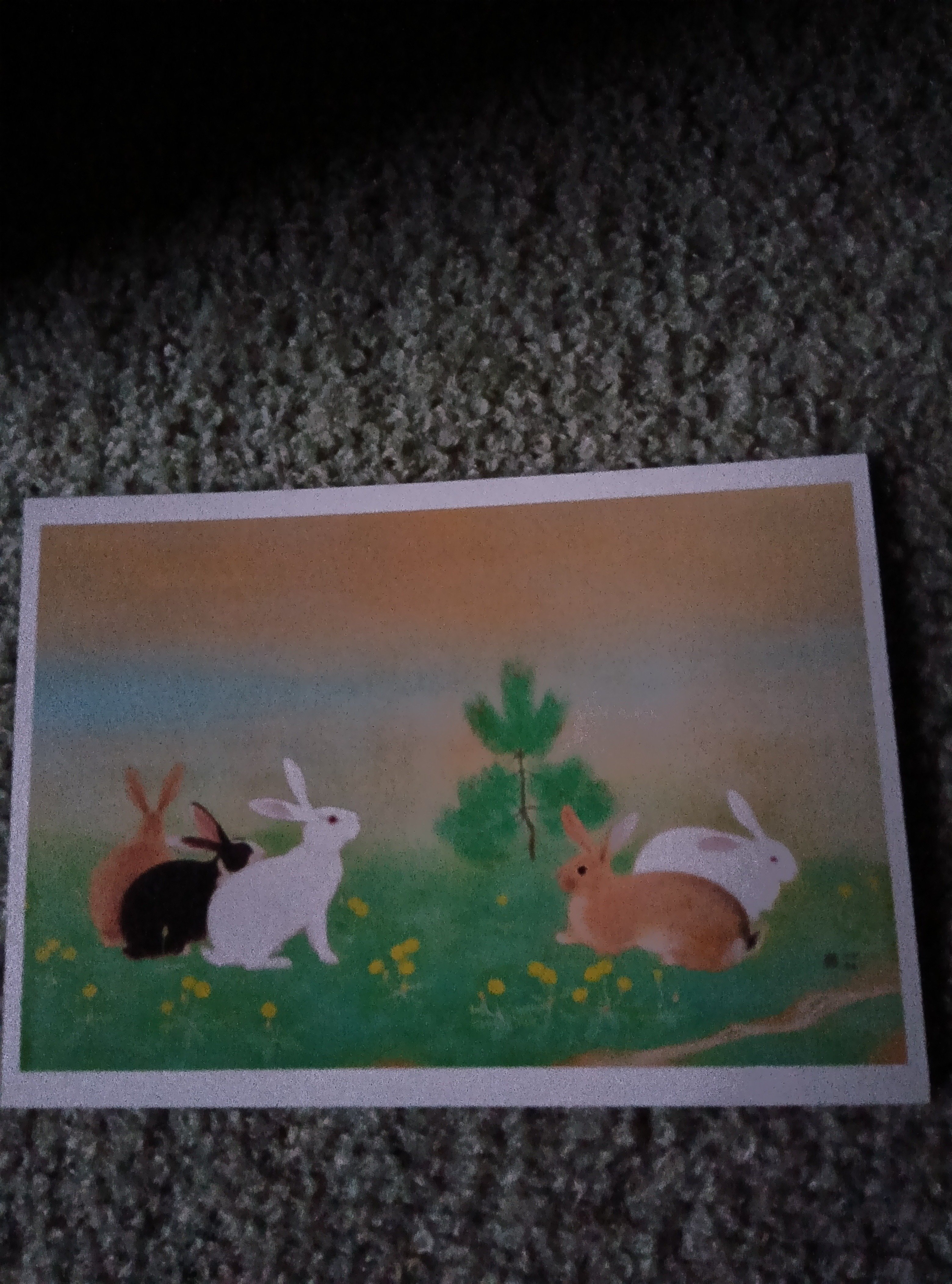 没後50年・堂本印象～慈愛に満ちた具象画から社会性のある抽象画へ