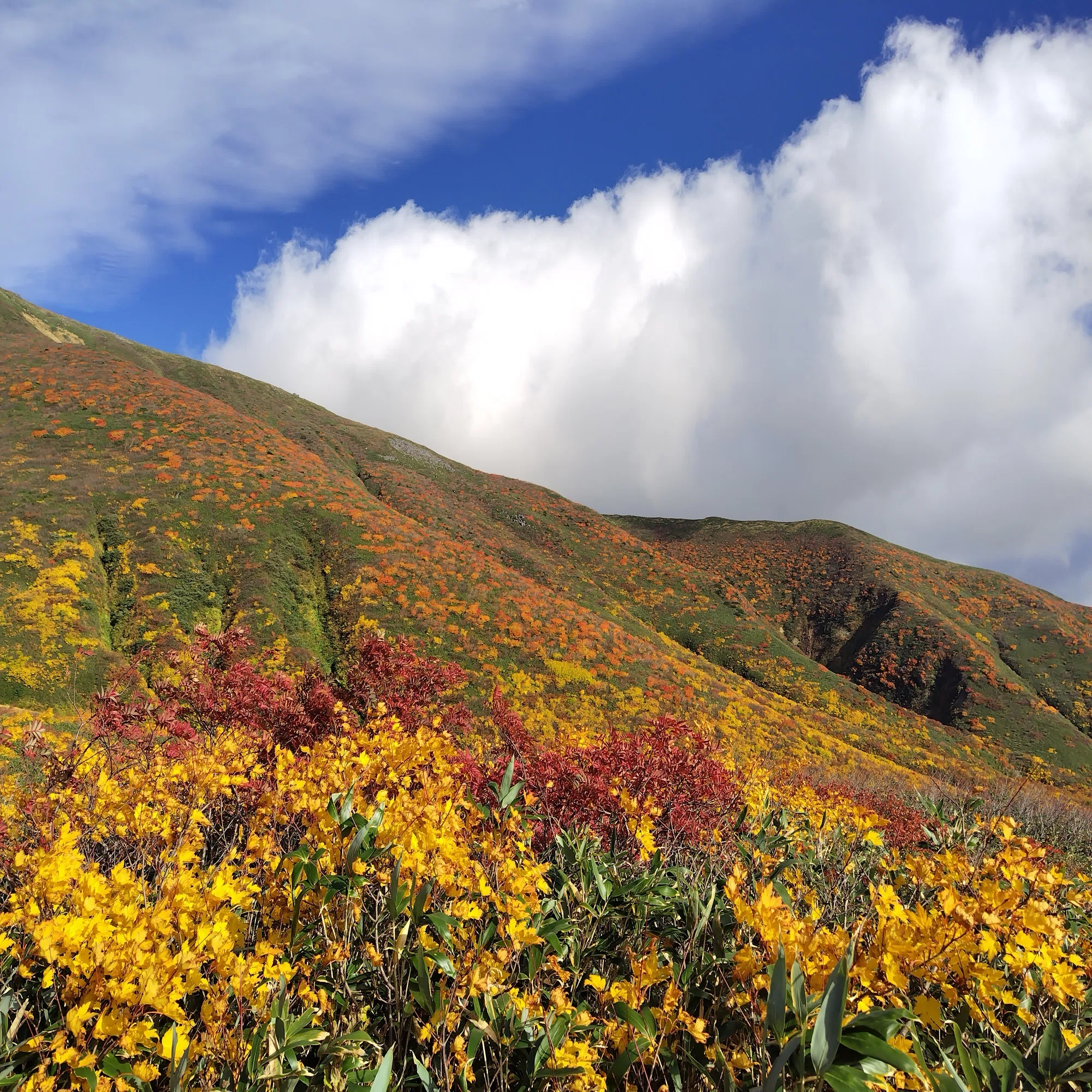 Mt. Gassan] A Twice-Made Wish, Fulfilled in Brocade Autumn—The 