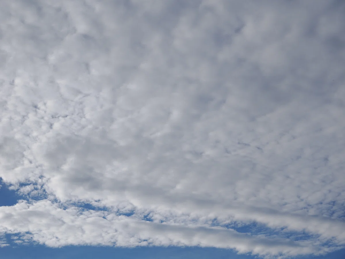 今日は高積雲・体調はやや改善｜こんとん