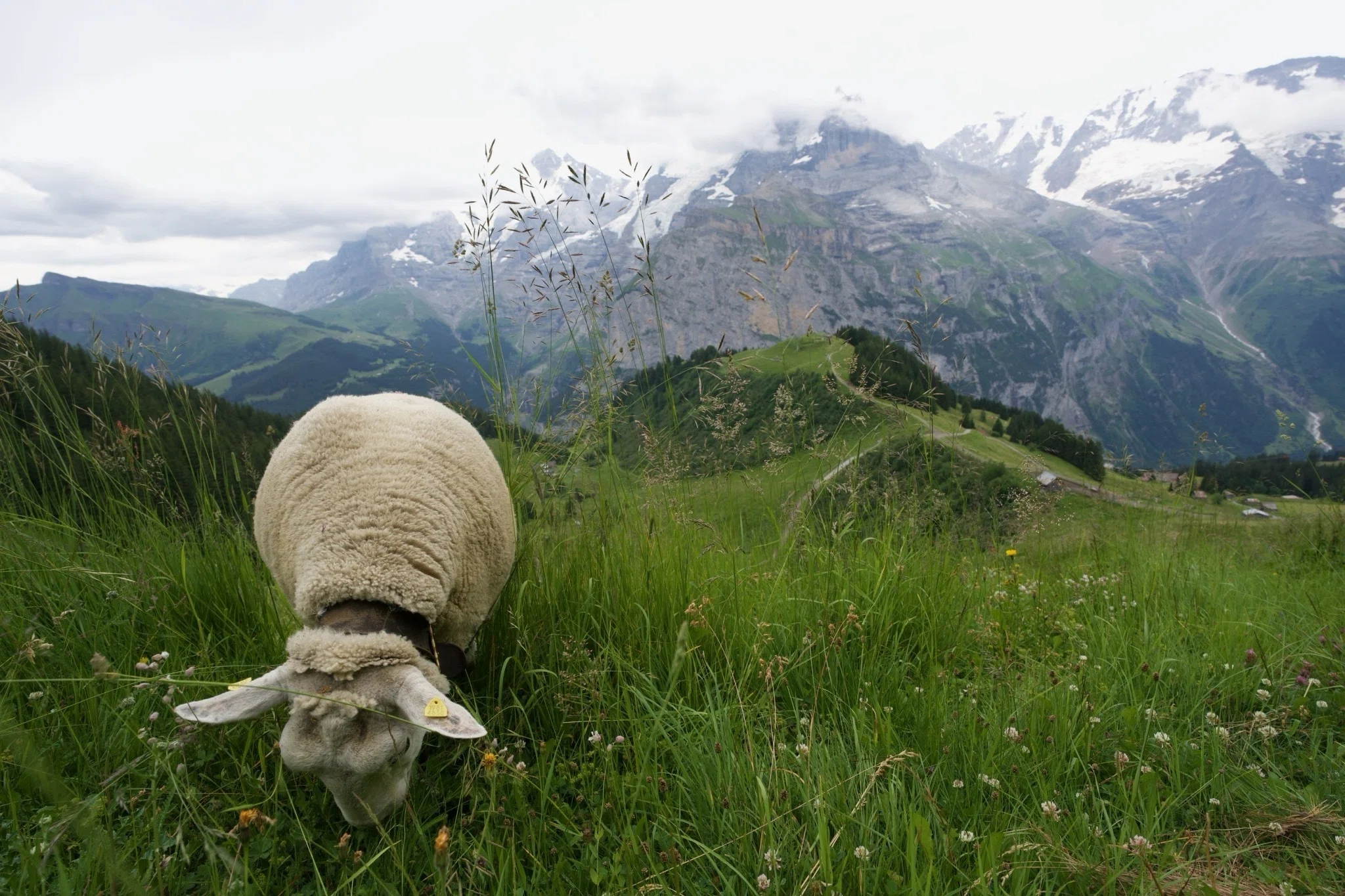 🇨🇭スイス写真探訪｜Tetsu K