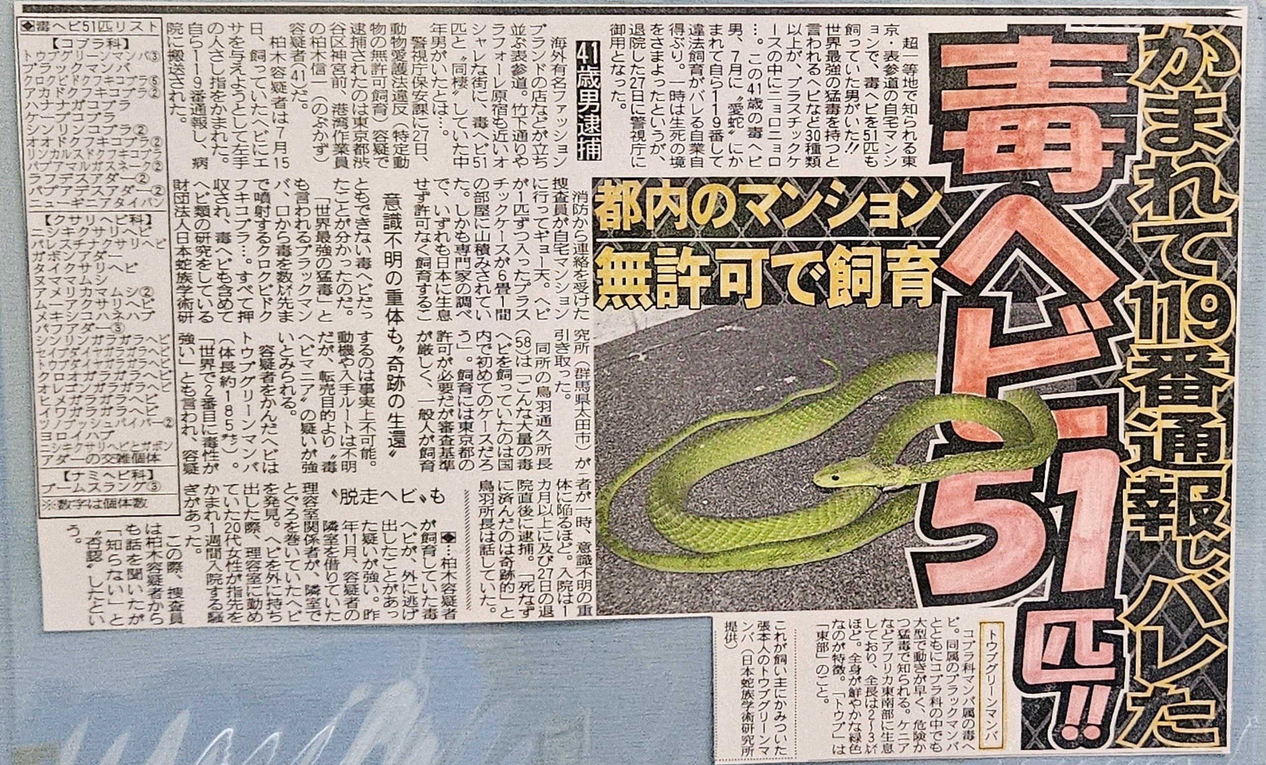 The Lost Universe 古代の巨大ヘビ⑤巨大ヘビ型UMA｜美原さつき