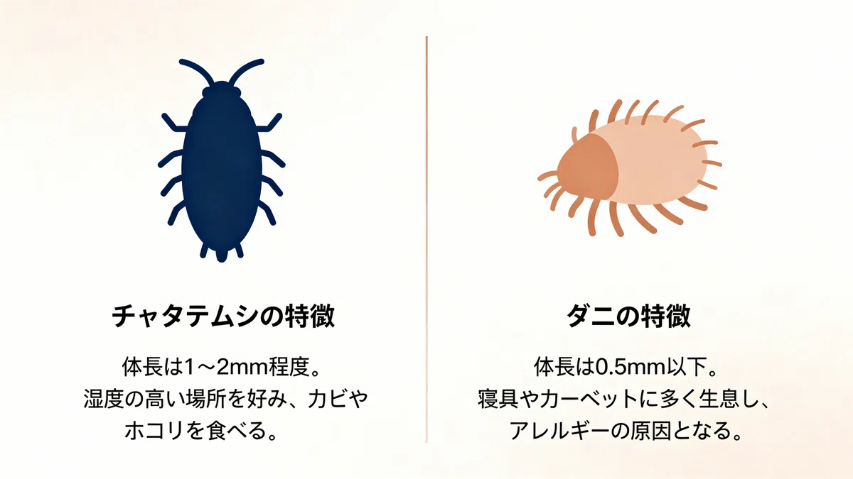 【完全ガイド】家のチャタテムシ対策｜発生原因から駆除・予防まで徹底解説｜ツヨシ | 害虫対策プランナー🧰