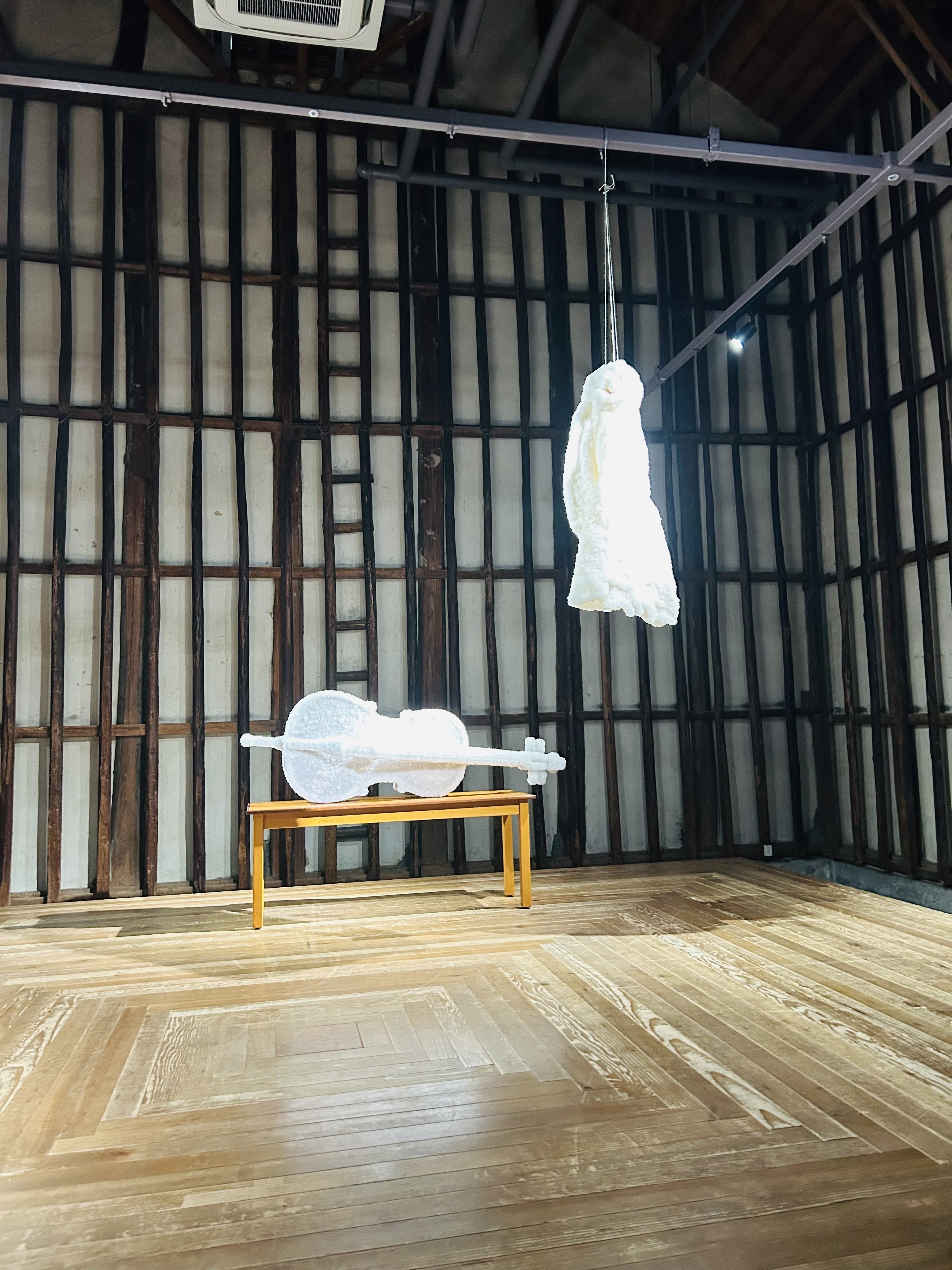 アートに没入する旅｜瀬戸内国際芸術祭2025・秋会期｜女性1人旅｜4泊5