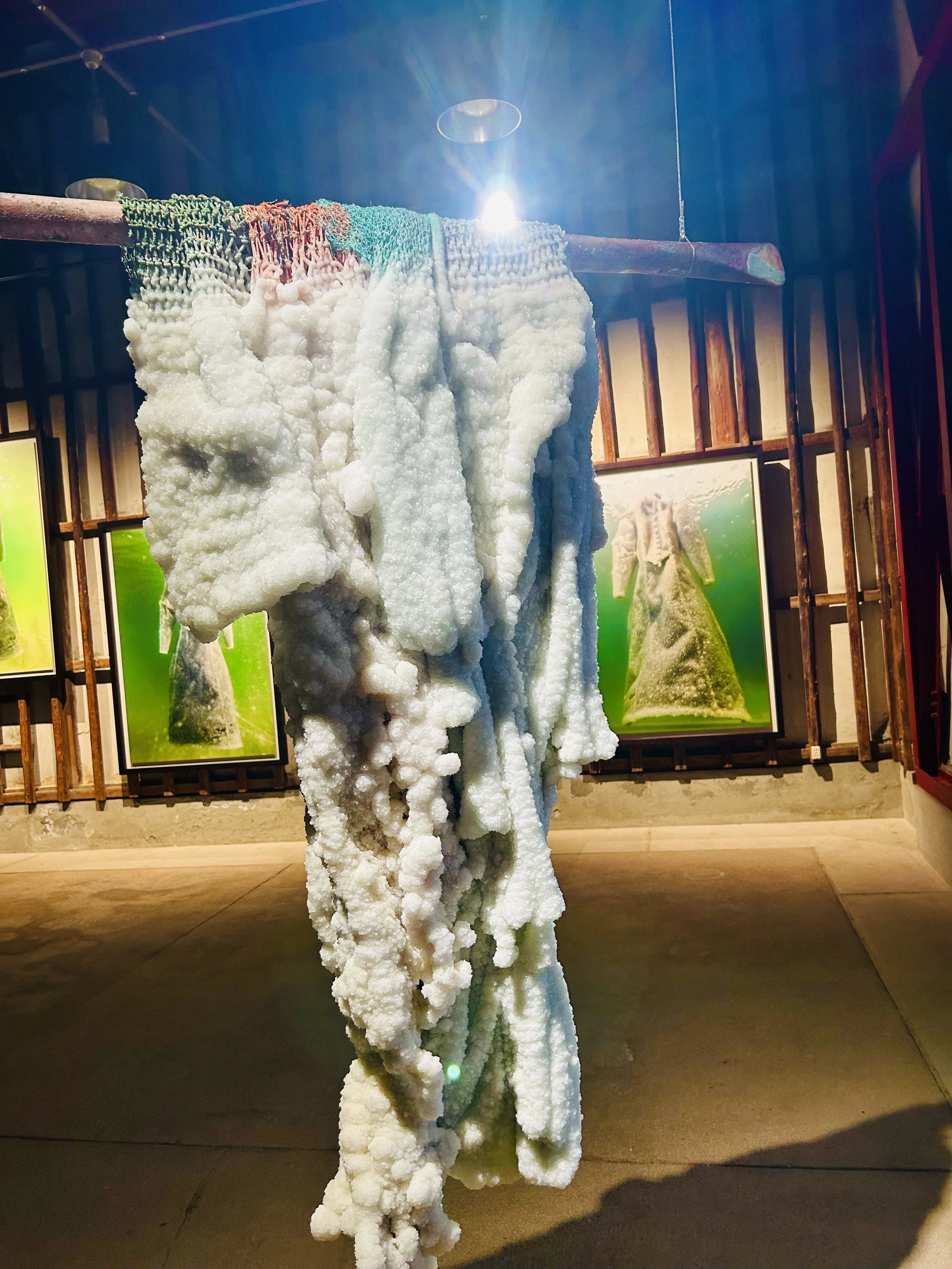 アートに没入する旅｜瀬戸内国際芸術祭2025・秋会期｜女性1人旅｜4泊5