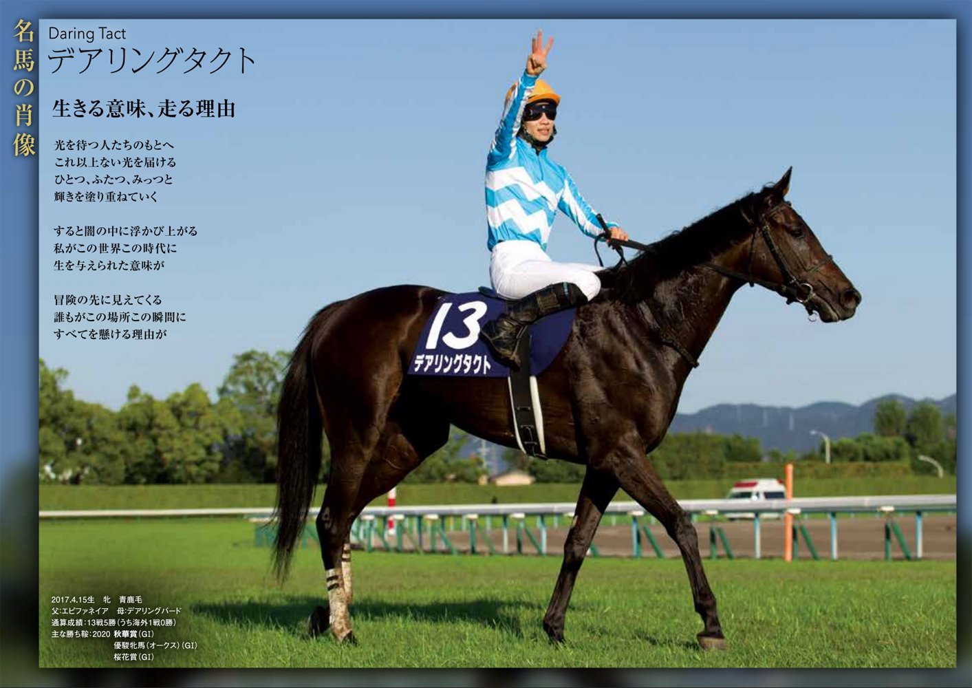 秋華賞2025サイン攻略5【レープロ解読】｜日本サイン競馬会