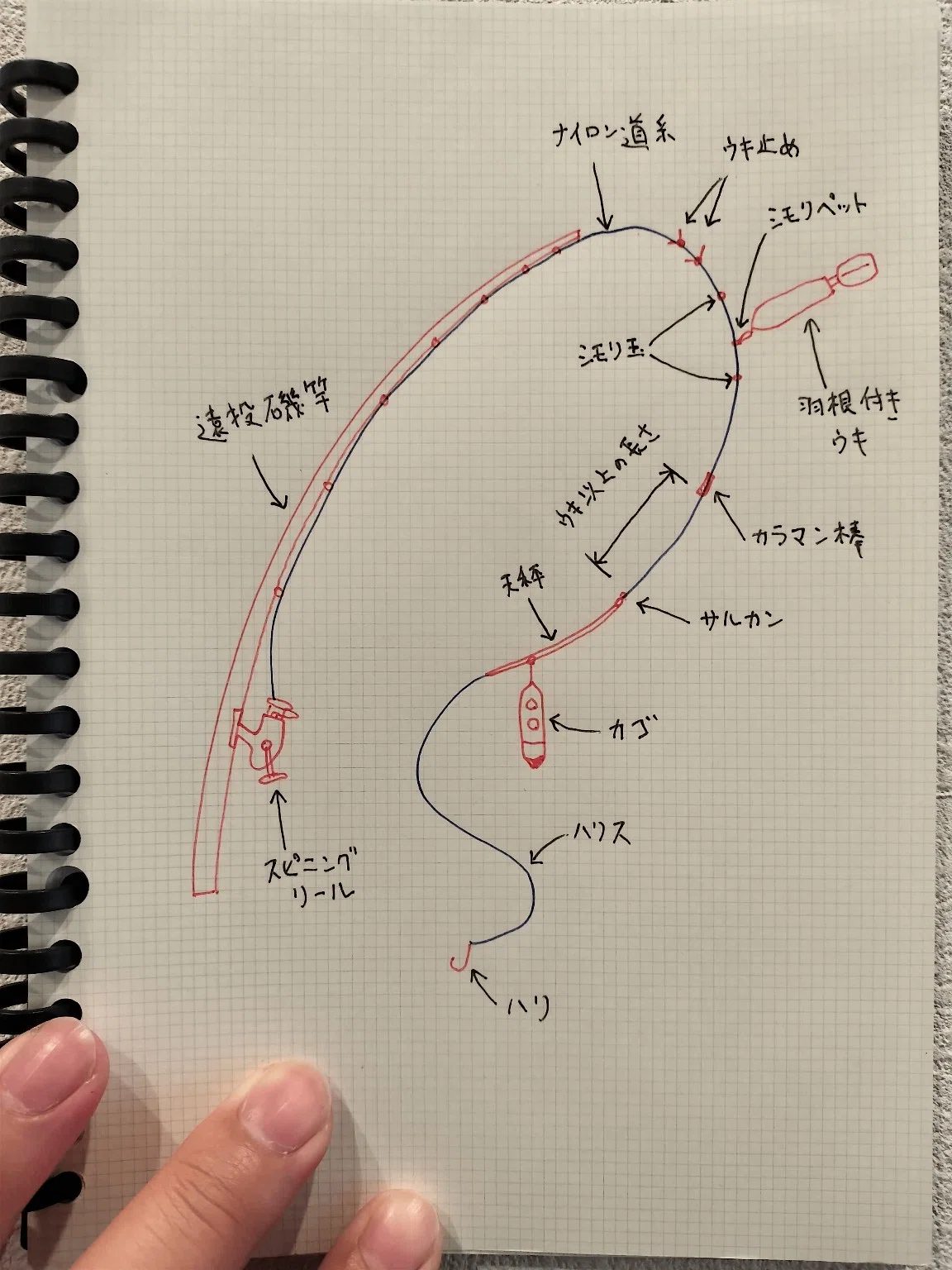 スーパーライトカゴ釣り仕掛け図