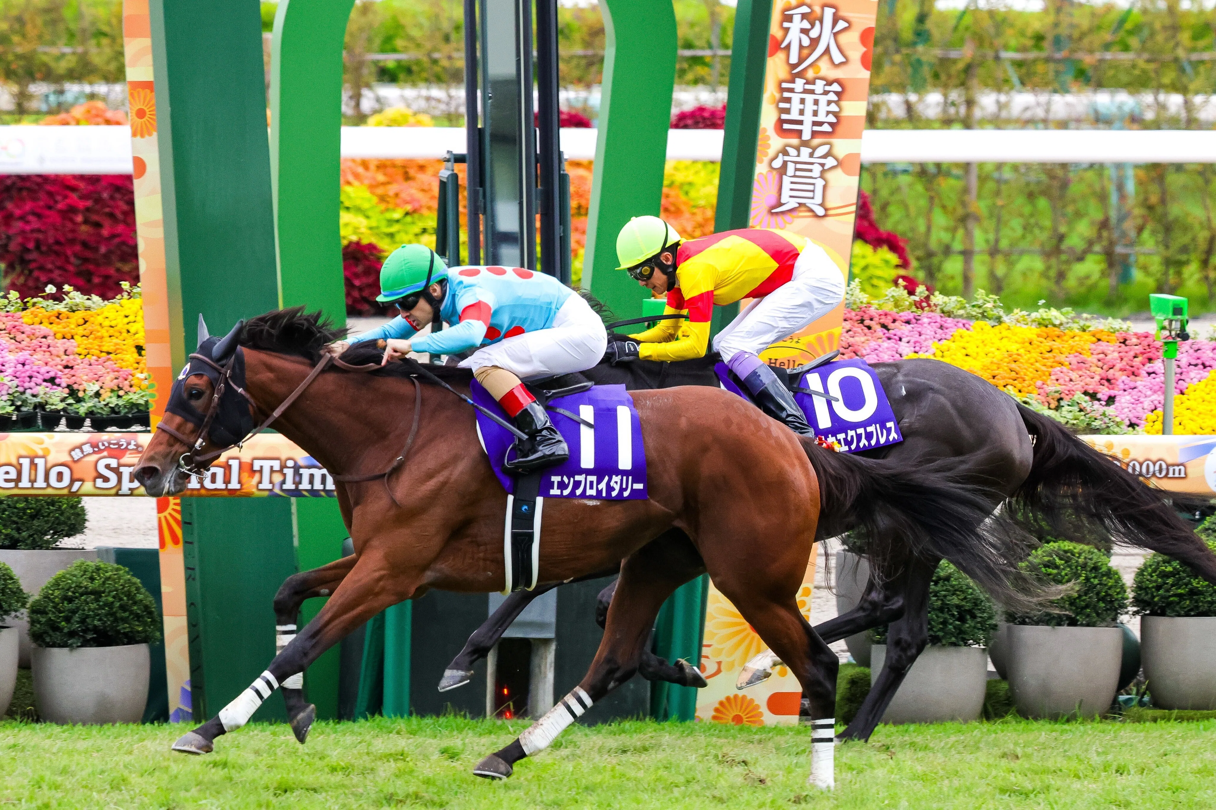 秋華賞（GⅠ）回顧】推奨馬レーゼドラマ17着～何処??｜Haya