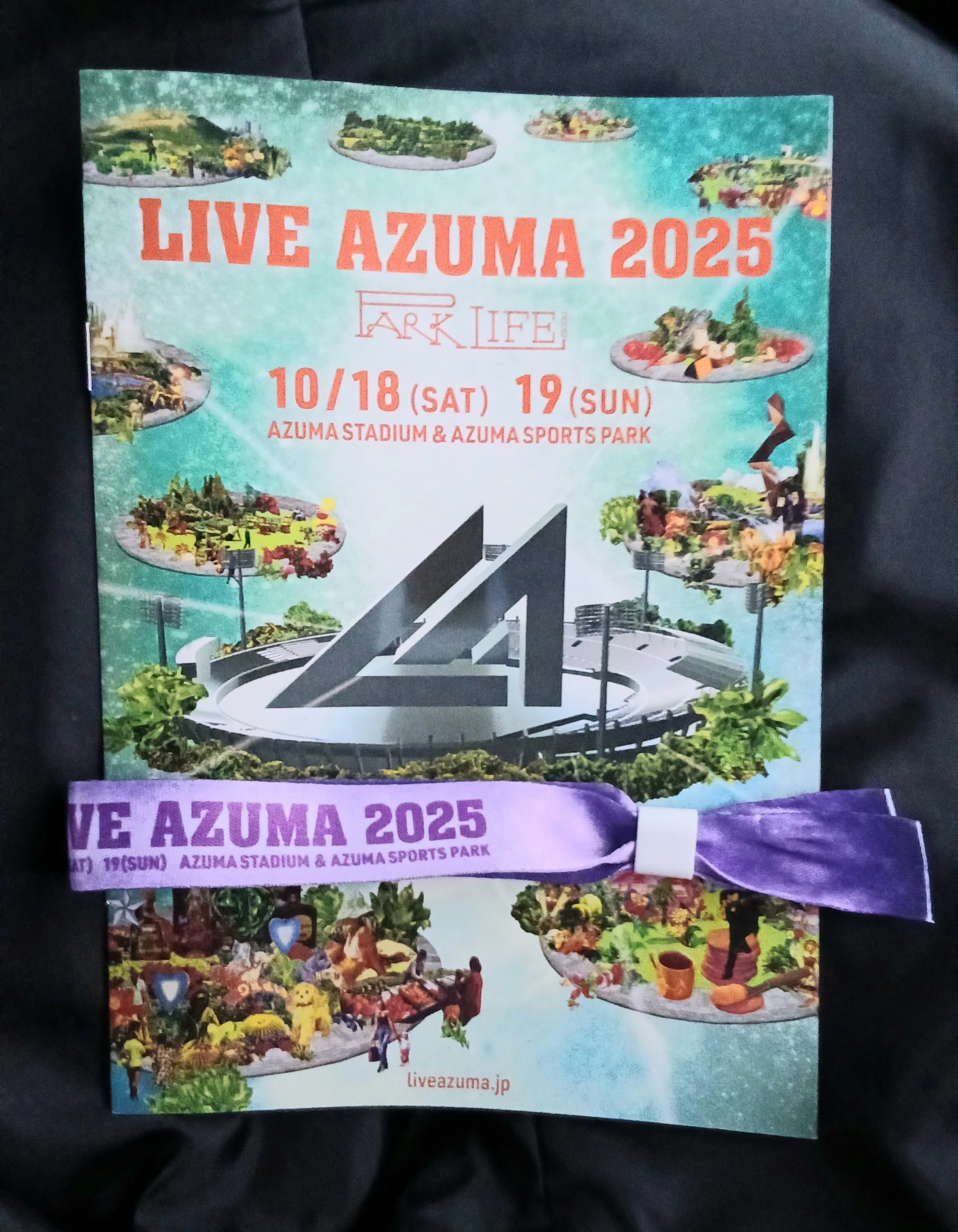 ライブレポ【黒夢あづまフェス2025.10.19】｜ネコ仮面